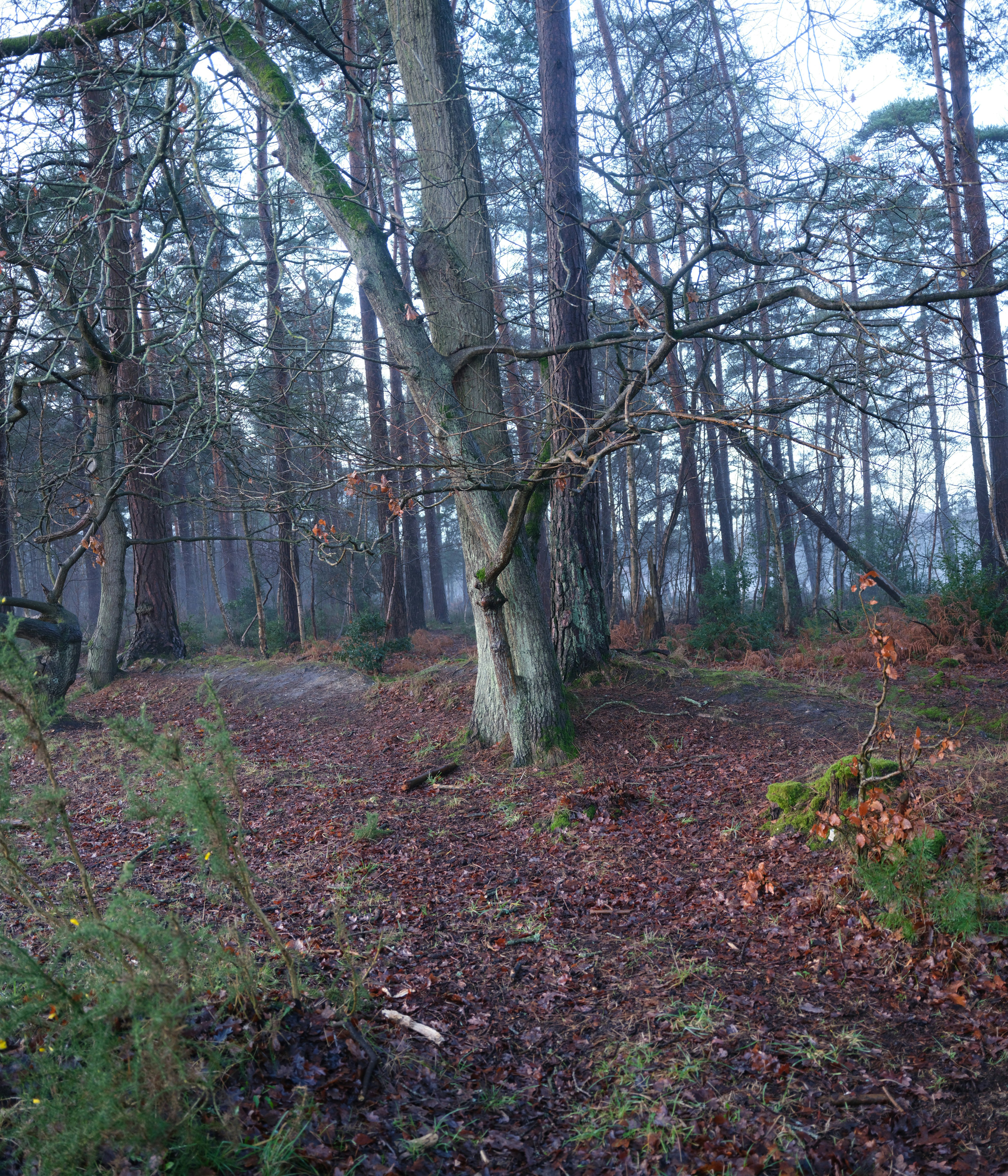 Photo by tanyabarrow