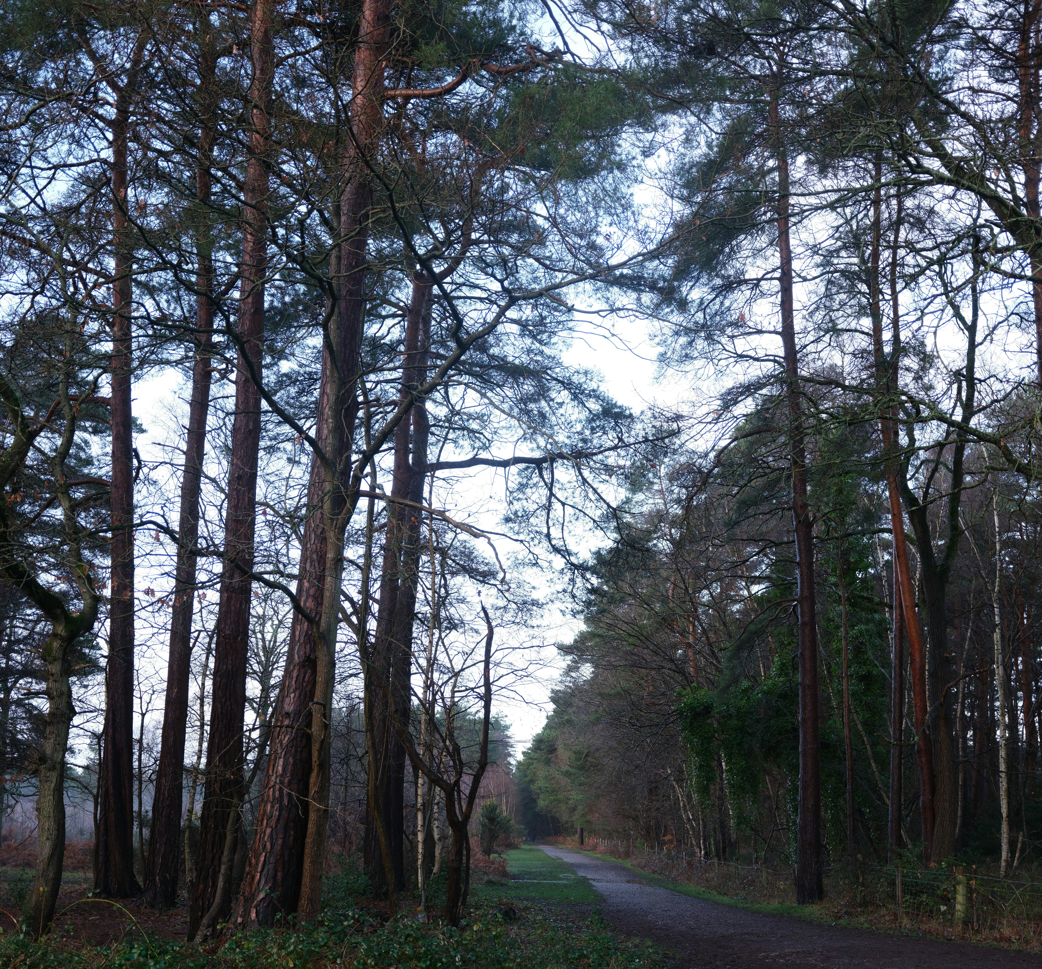 Photo by tanyabarrow