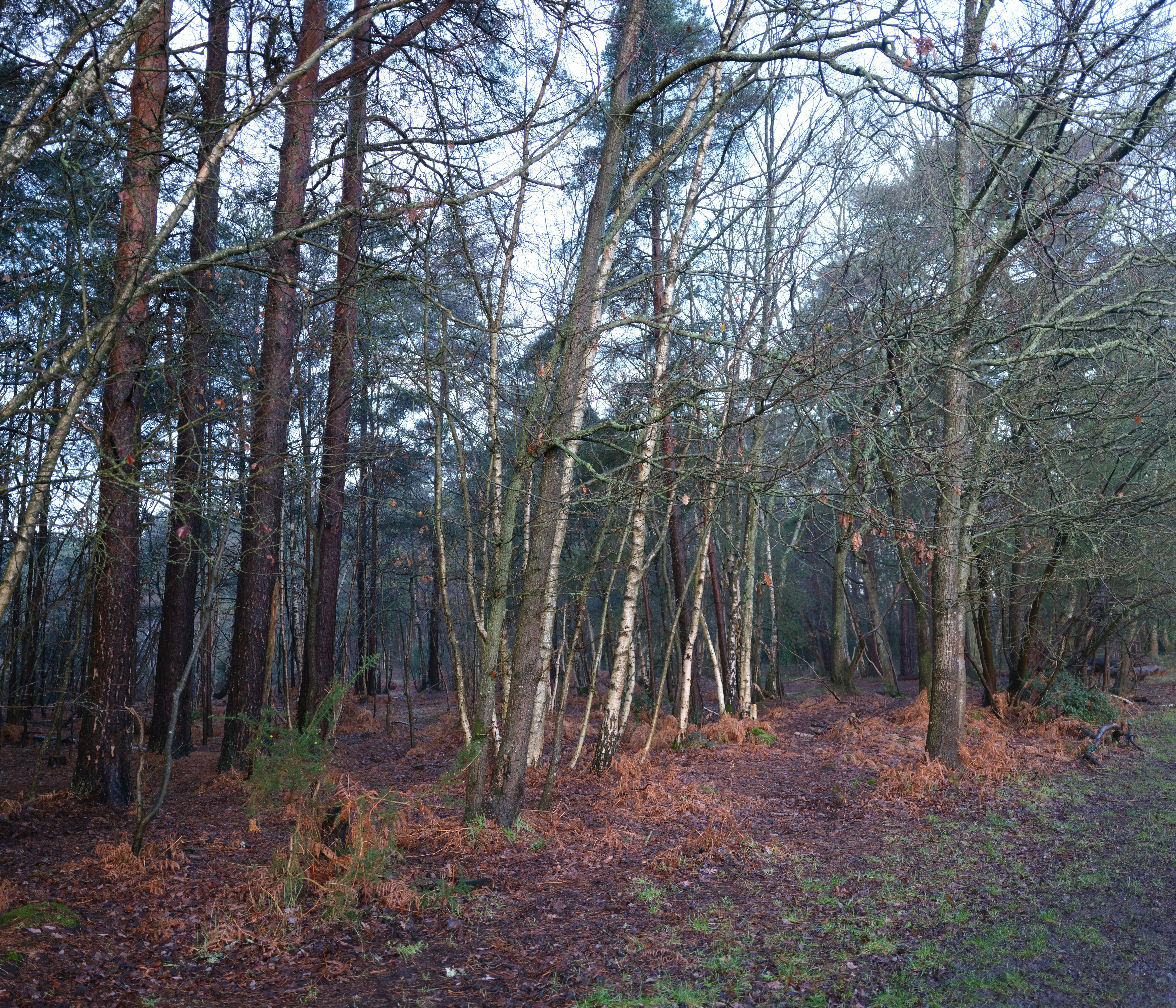 Photo by tanyabarrow