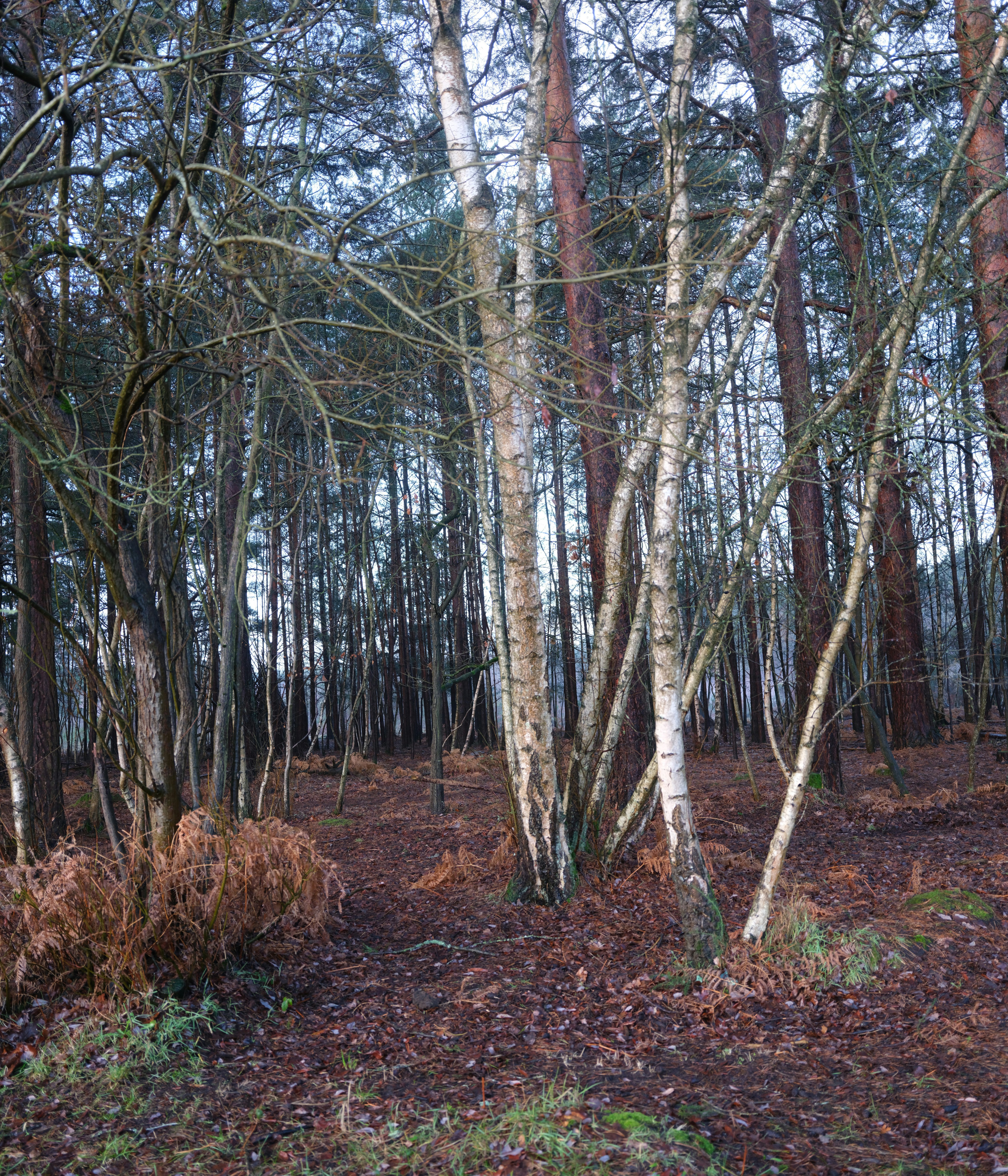 Photo by tanyabarrow