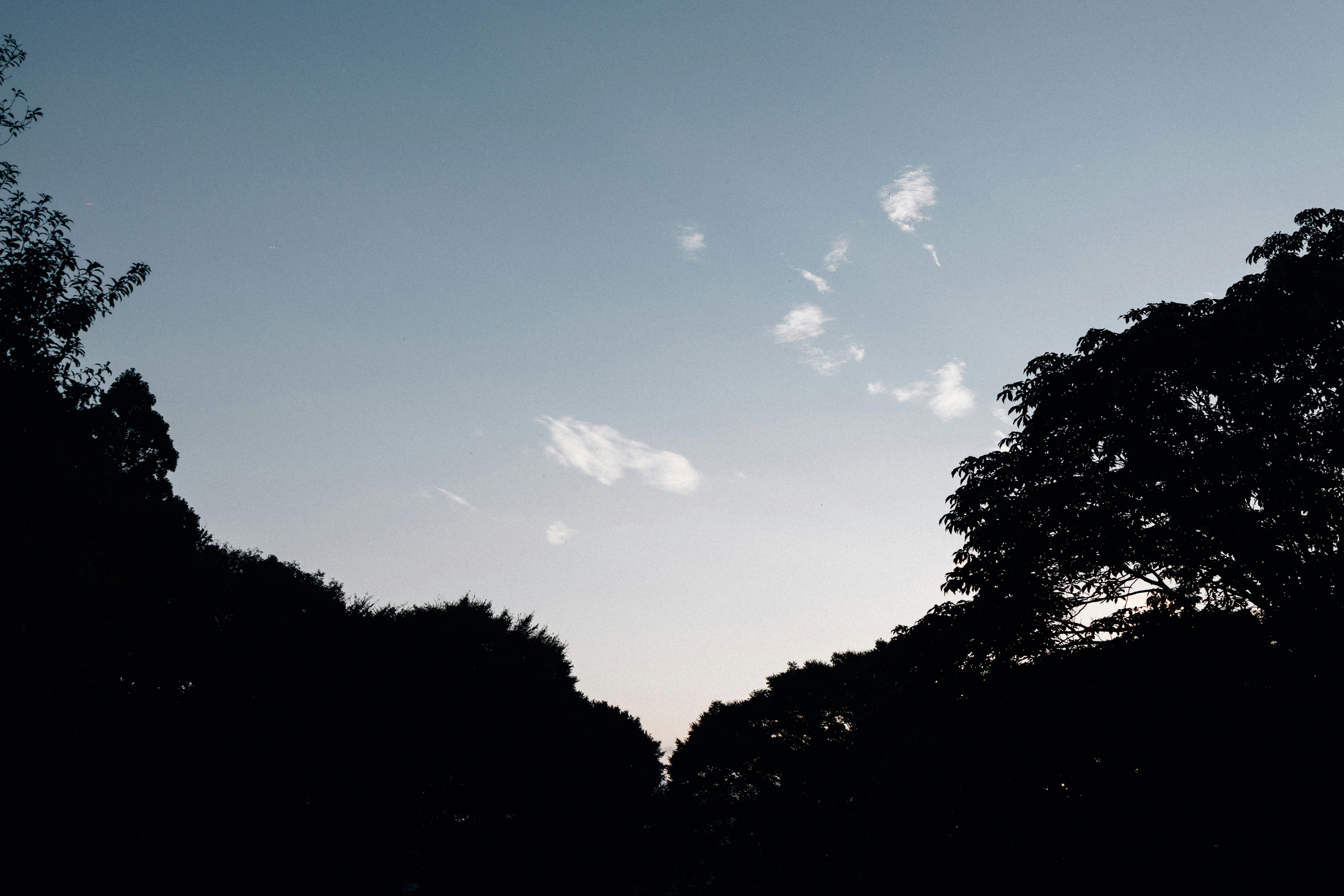 Photo by tsuyoshikozu