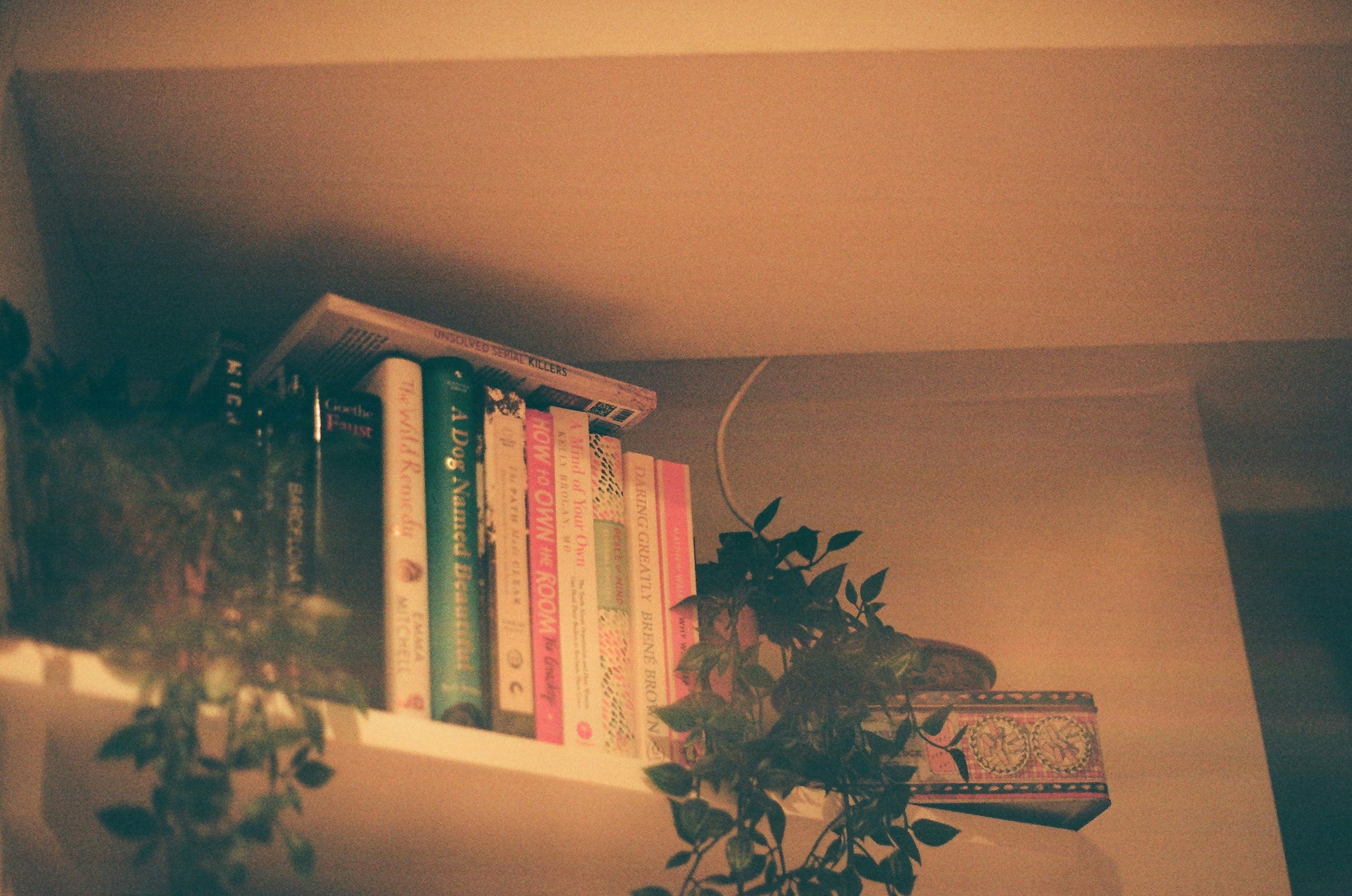Photo by tanyabarrow