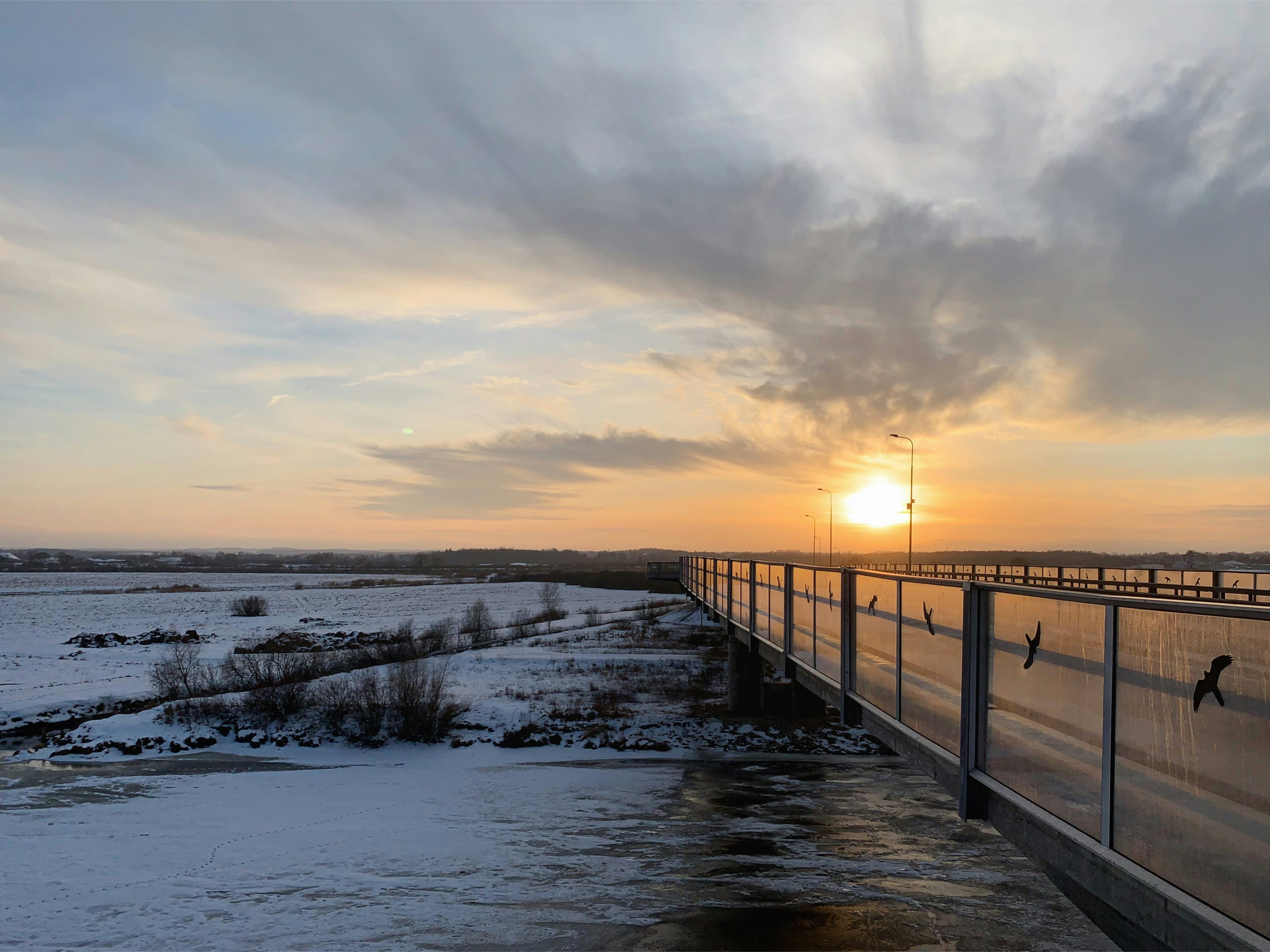 Photo by sergei_gussev