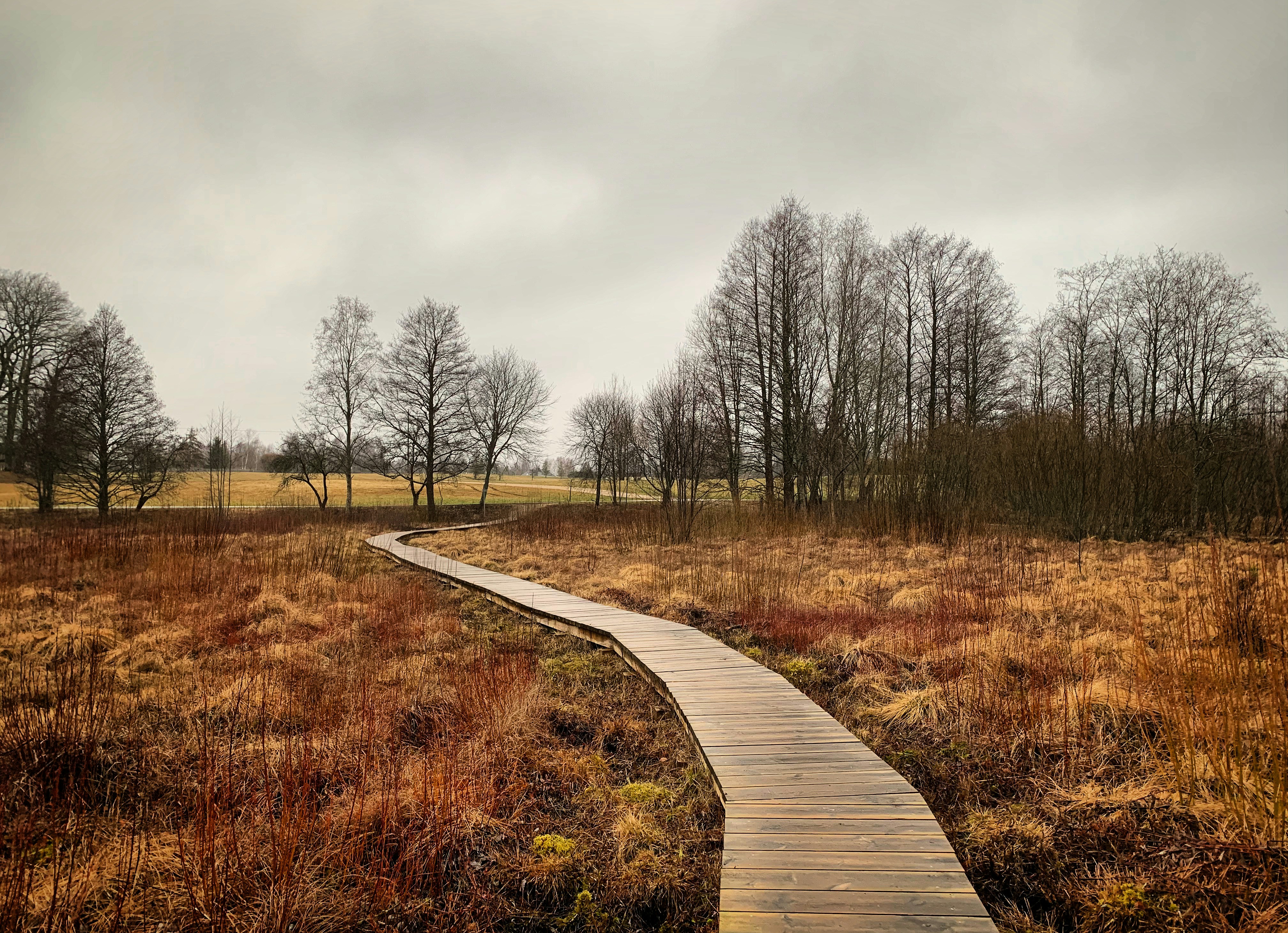 Photo by sergei_gussev