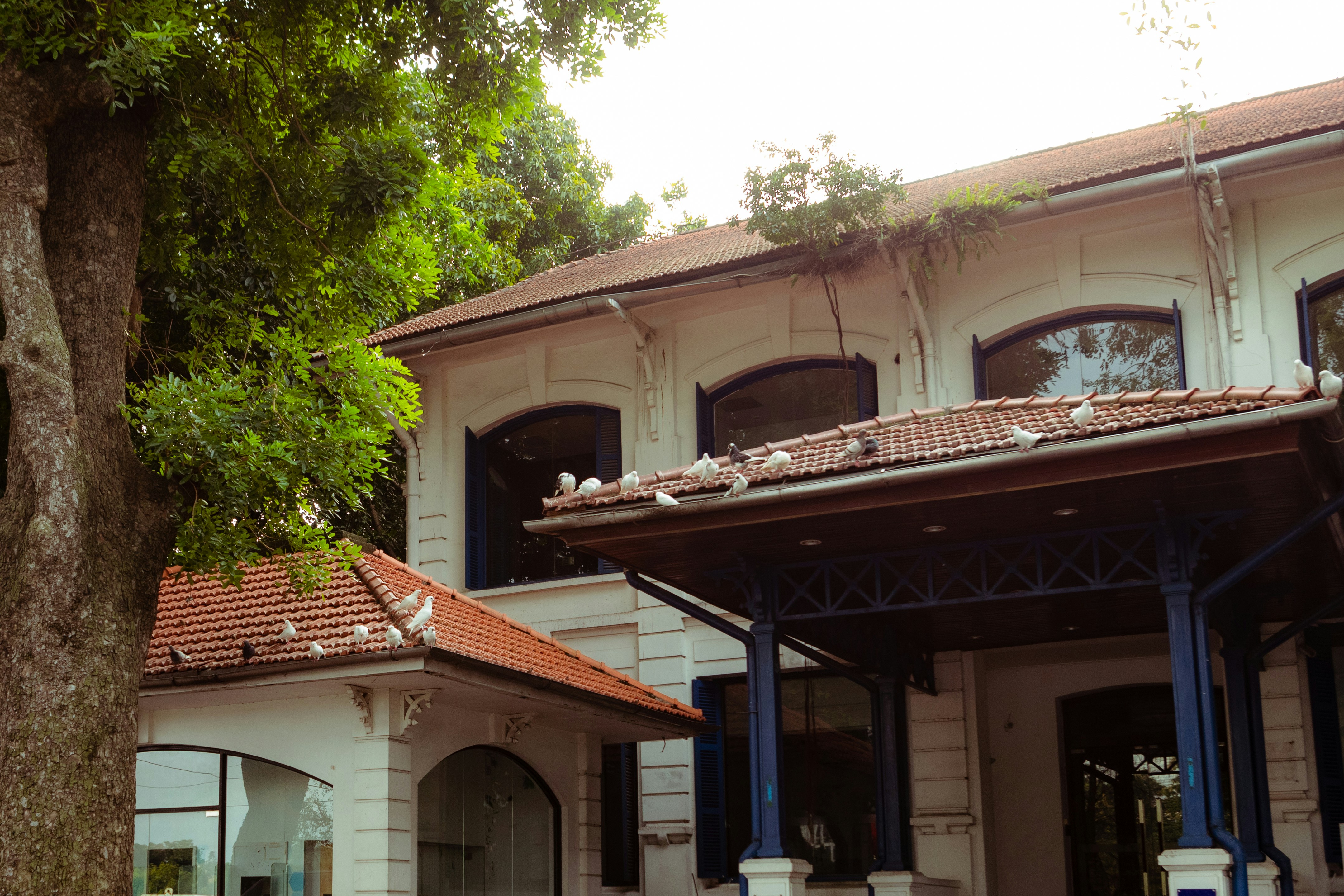 Photo by khiemnguyen_str84