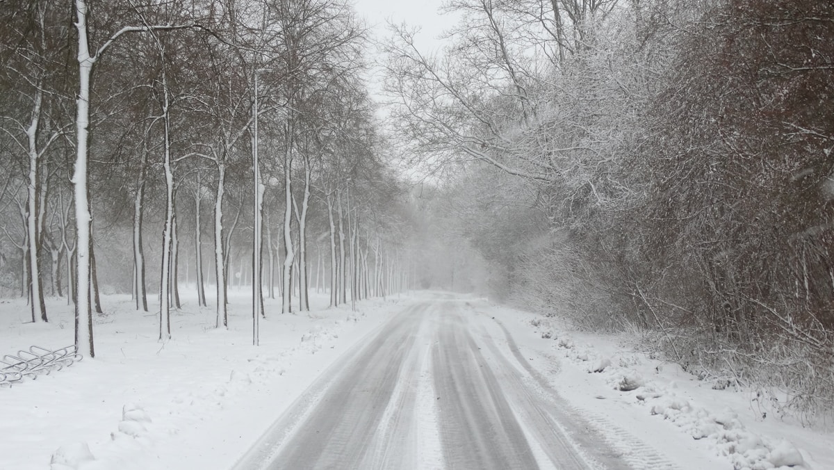 降雪中積雪的鄉間林道