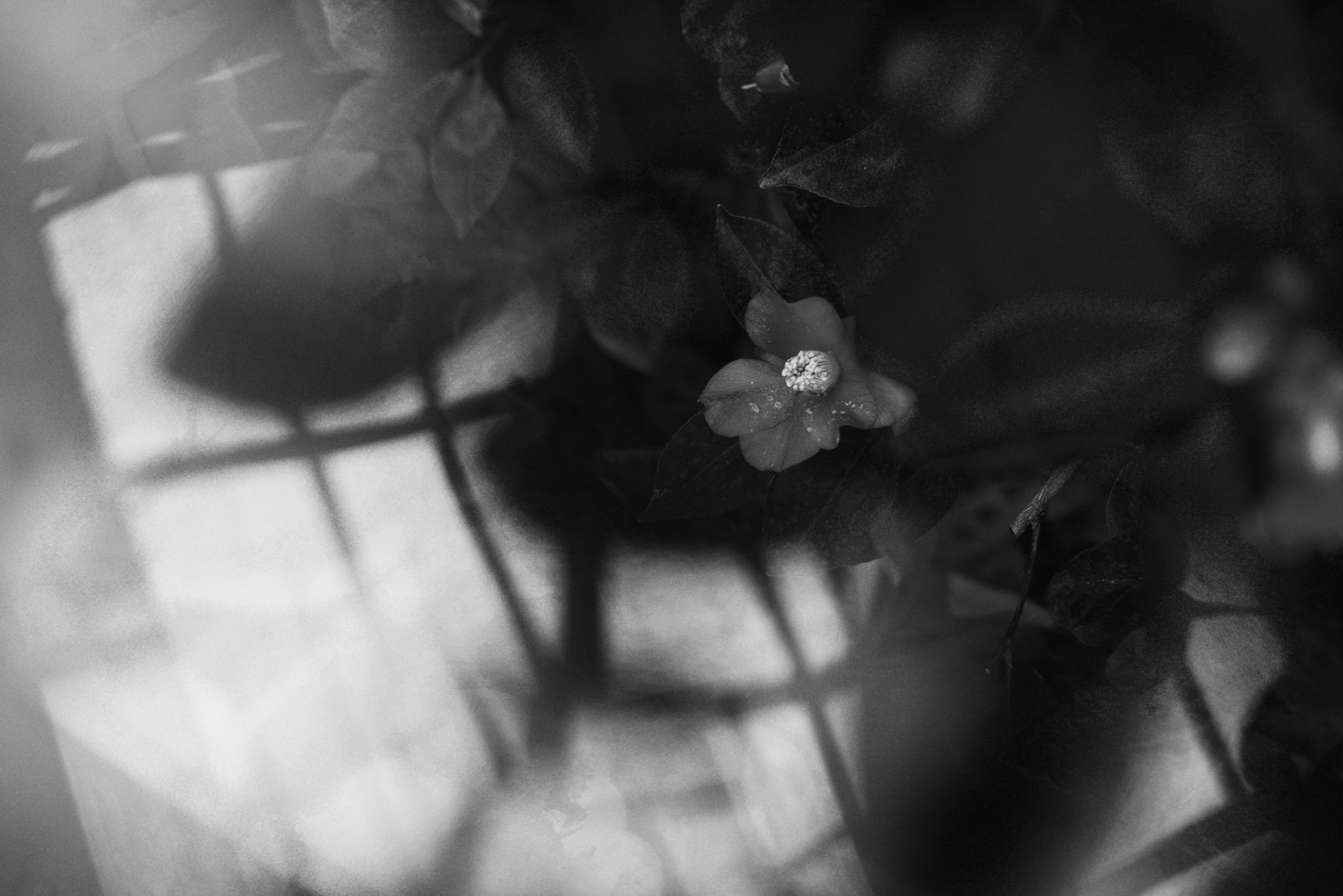 Photo by cherstve_pechivo