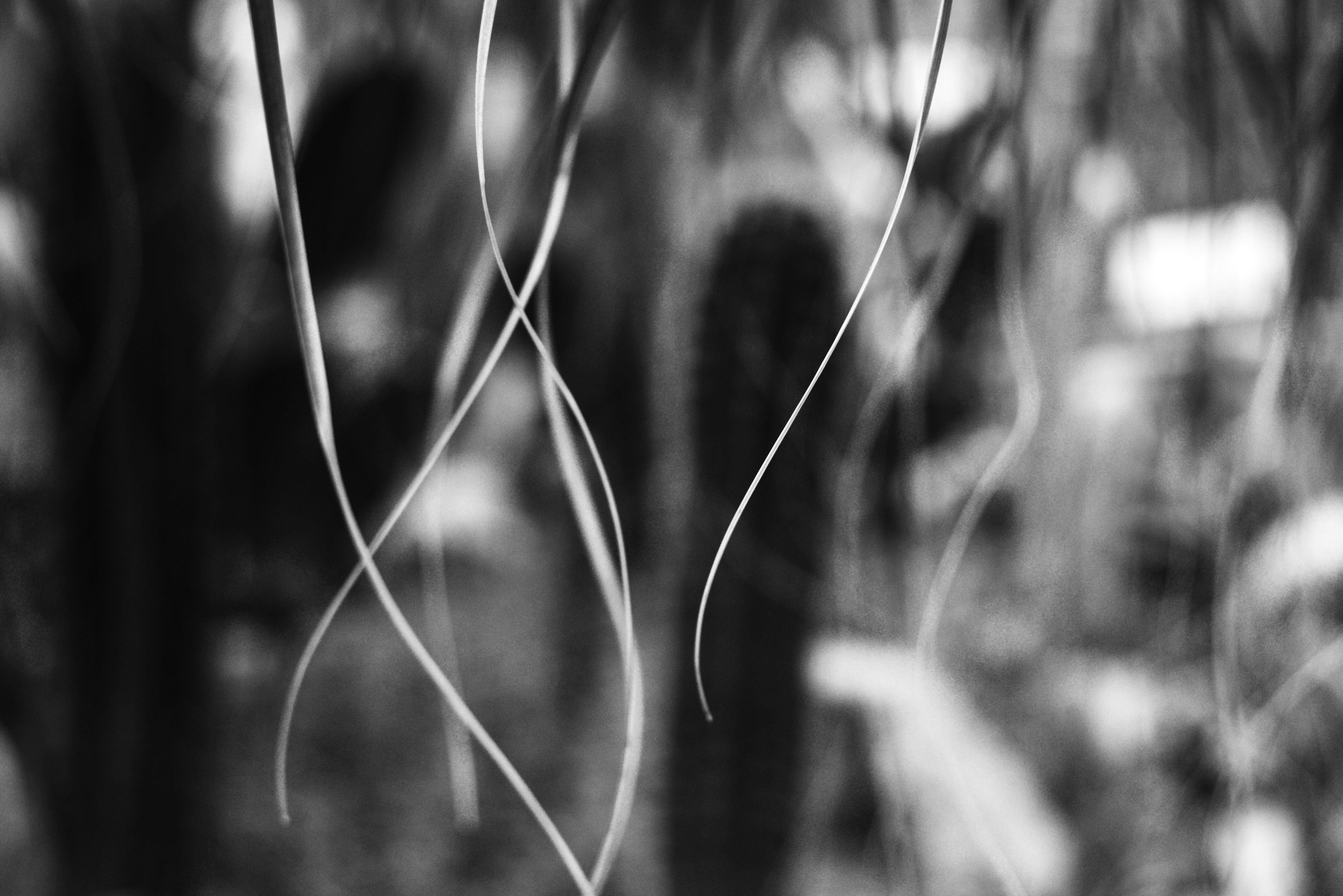 Photo by cherstve_pechivo