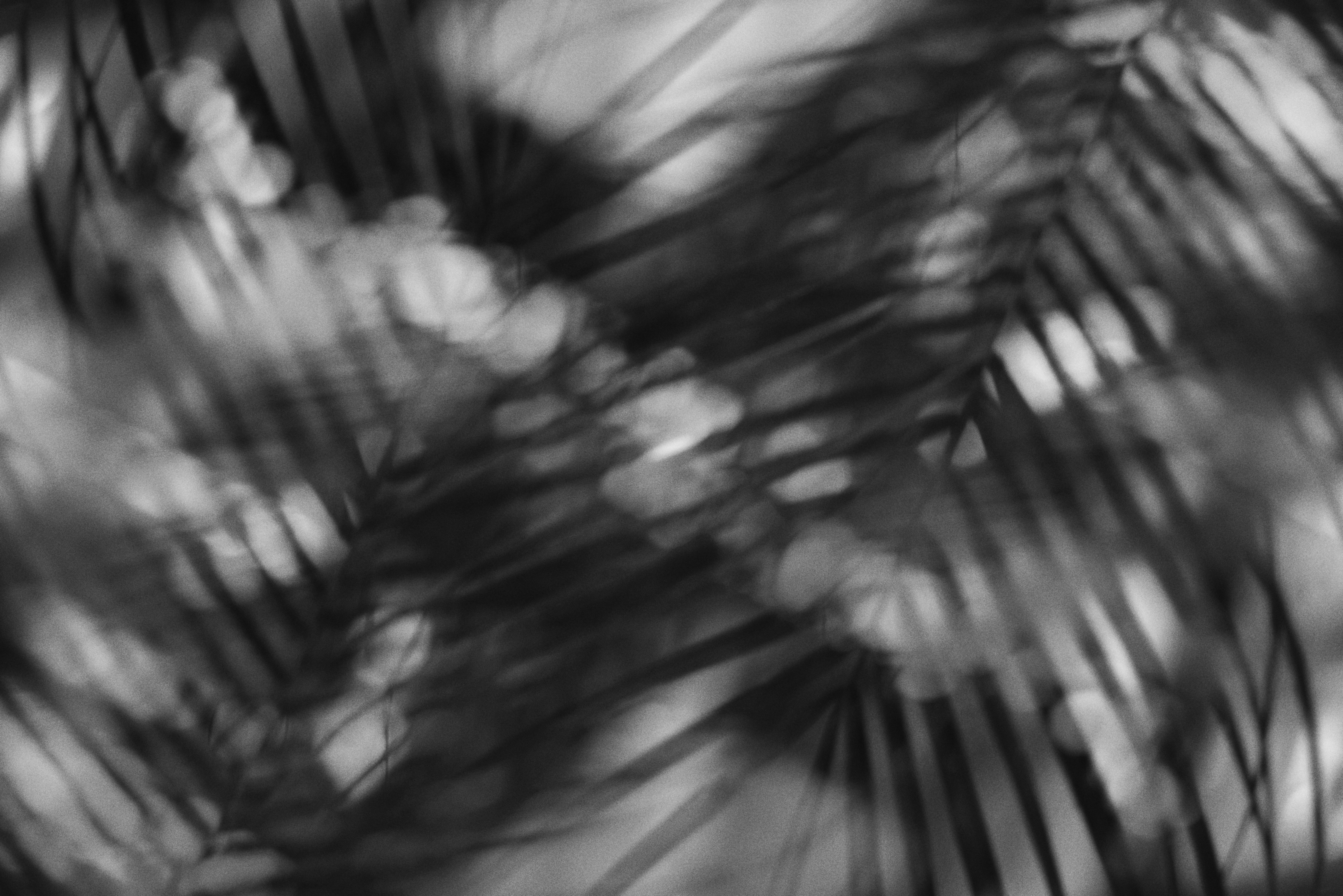 Photo by cherstve_pechivo