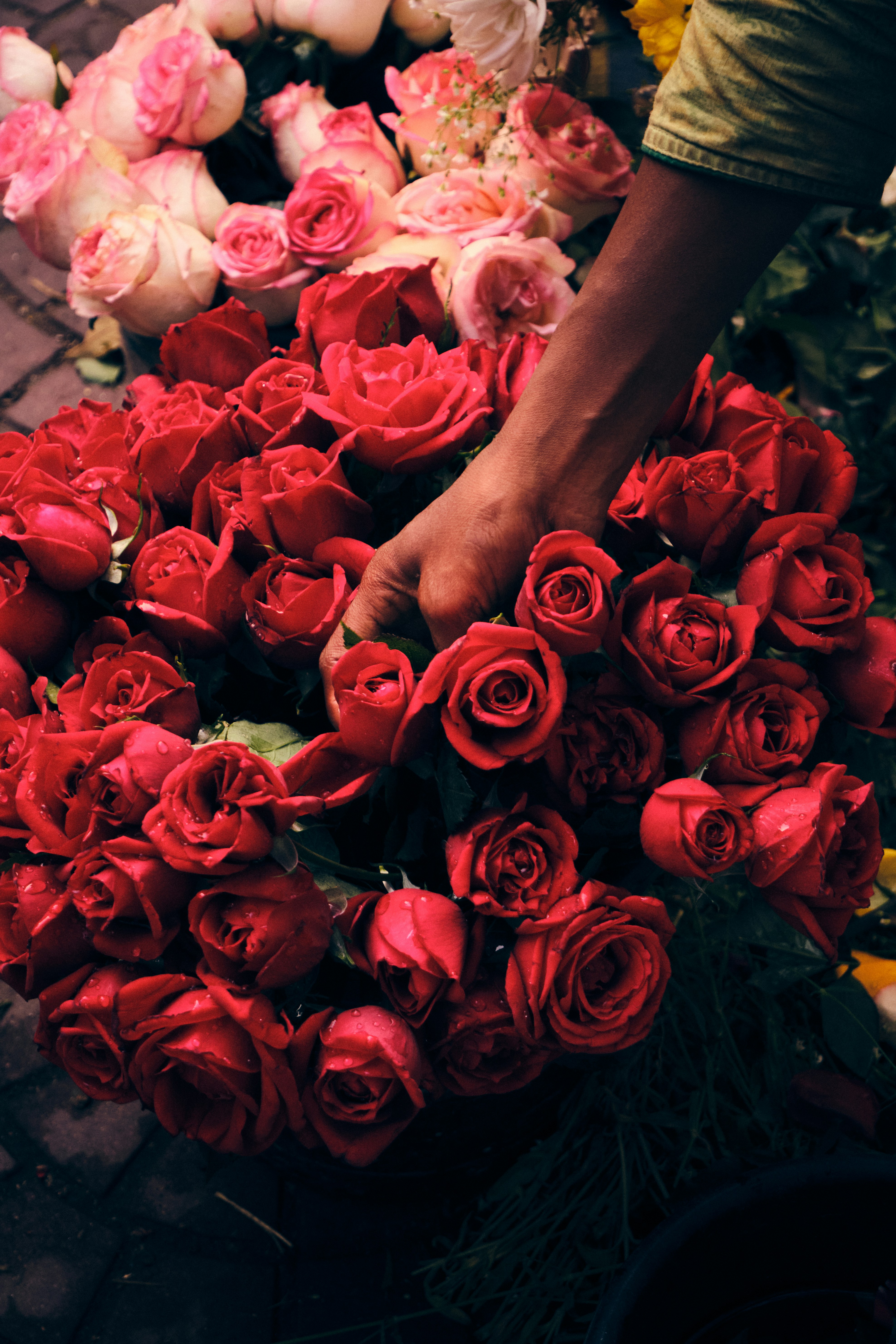 Uma mão arrumando um grande buquê de rosas vermelhas.
