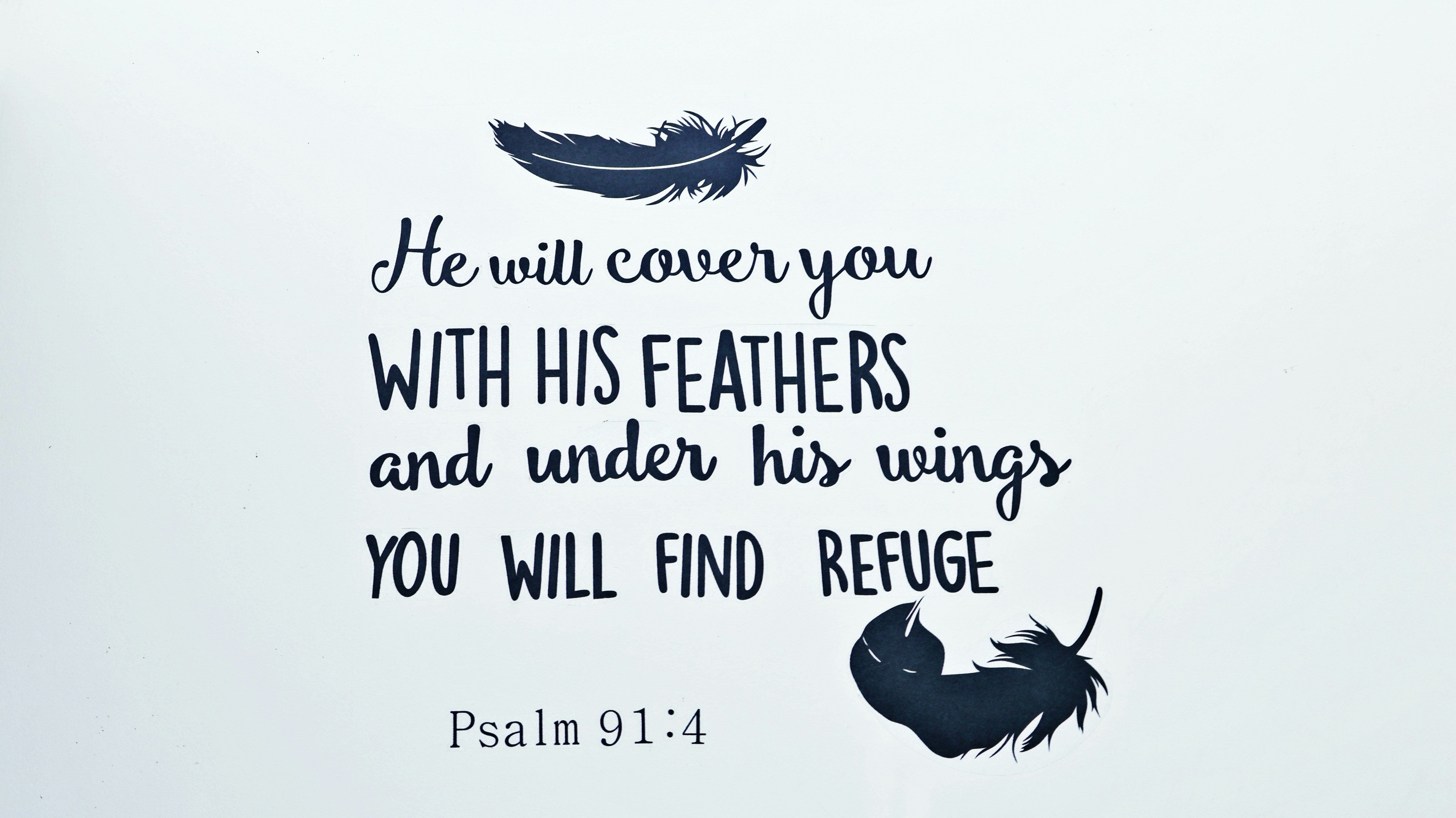 Feathers and scripture on a light background