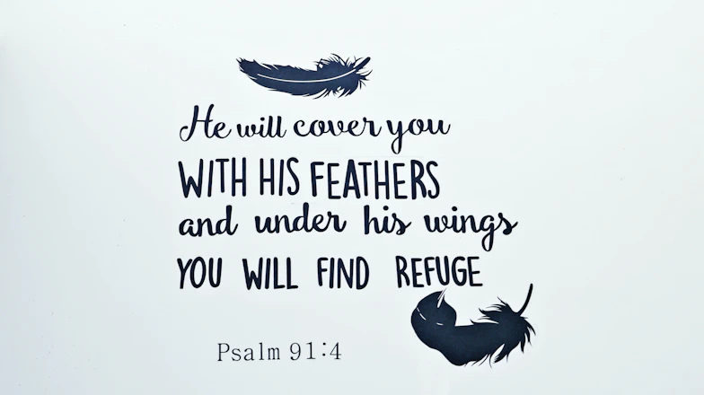 Feathers and scripture on a light background