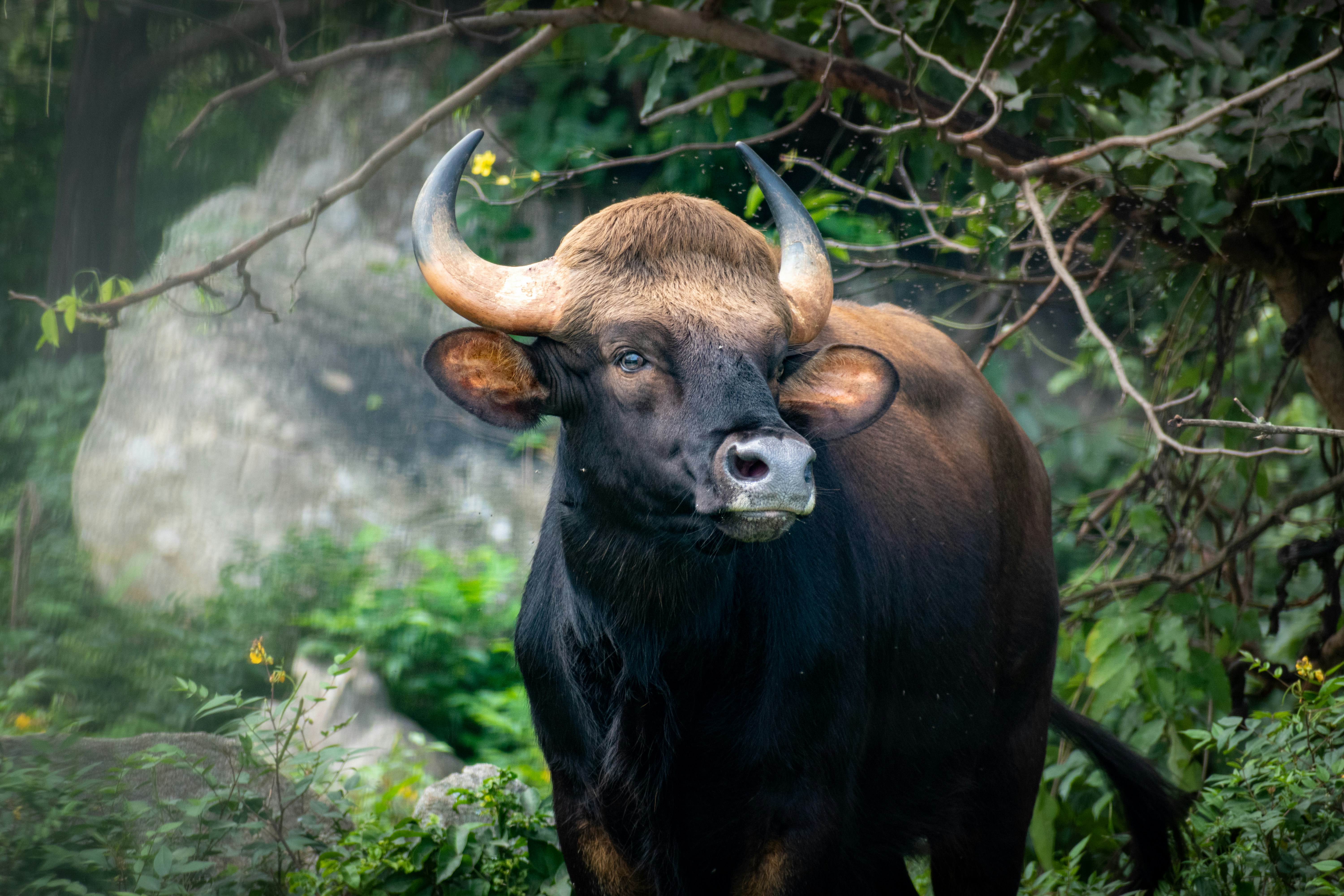 Photo by mohan_kumar_p