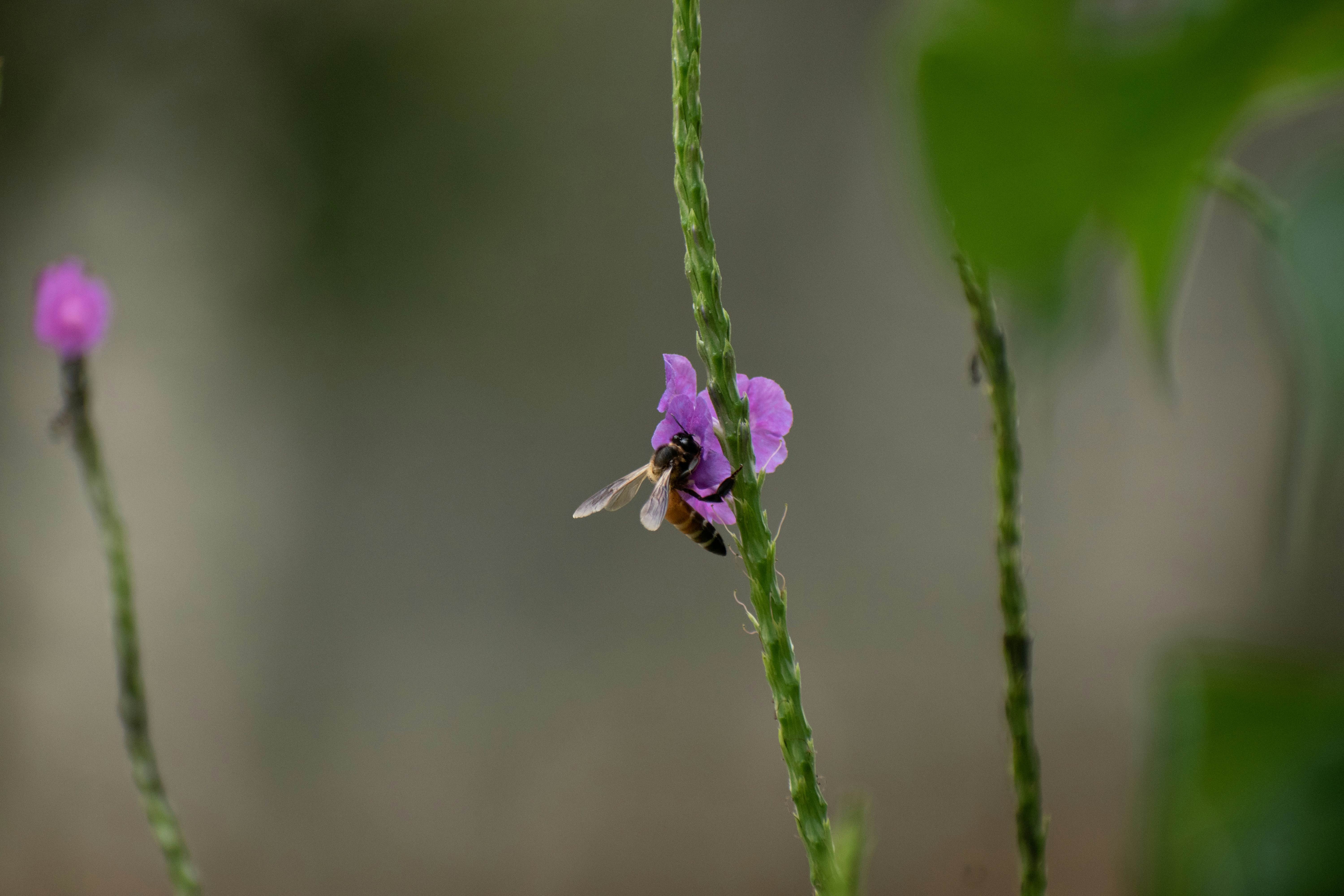 Photo by mohan_kumar_p