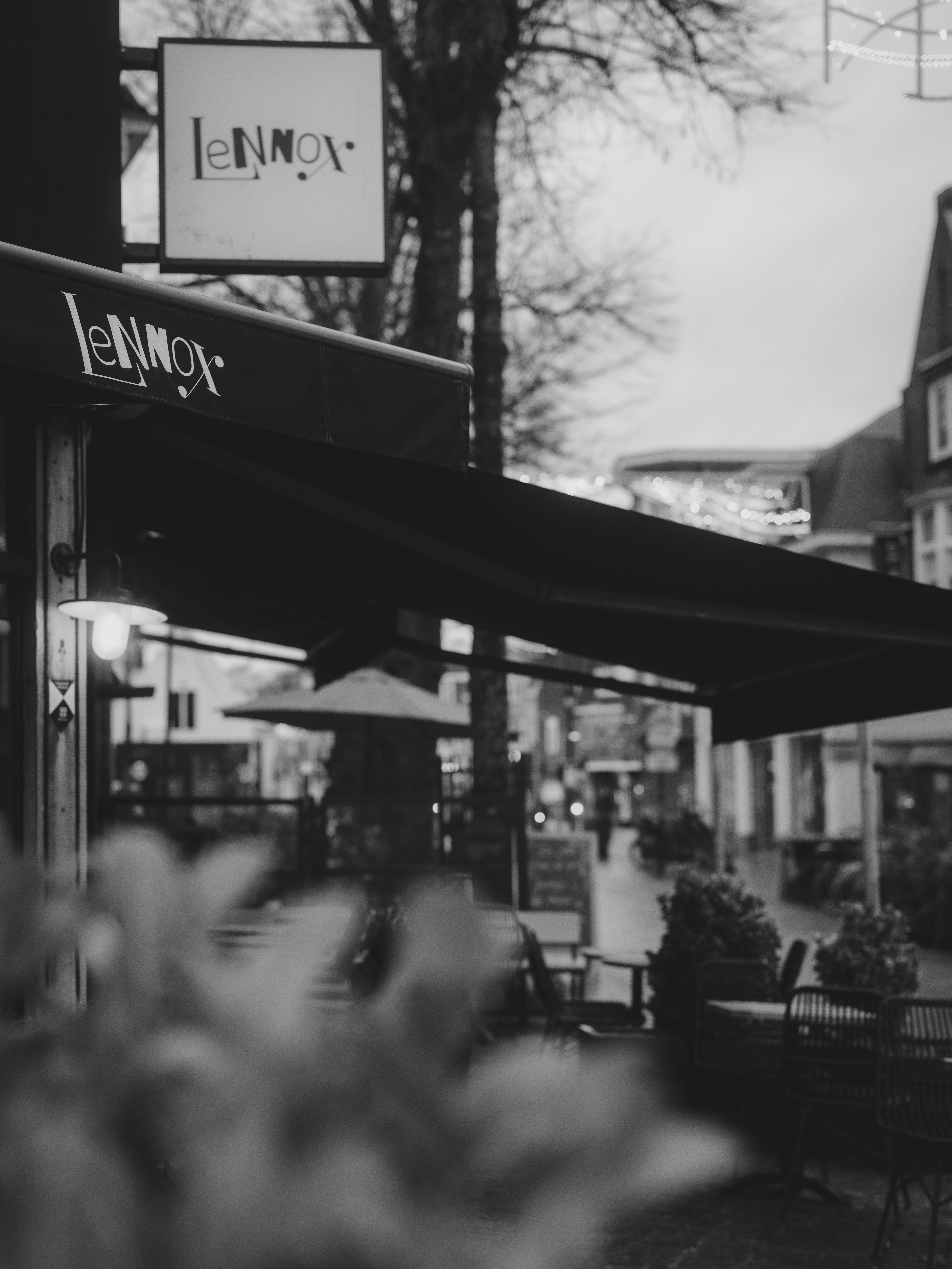 Photo by haberdoedas