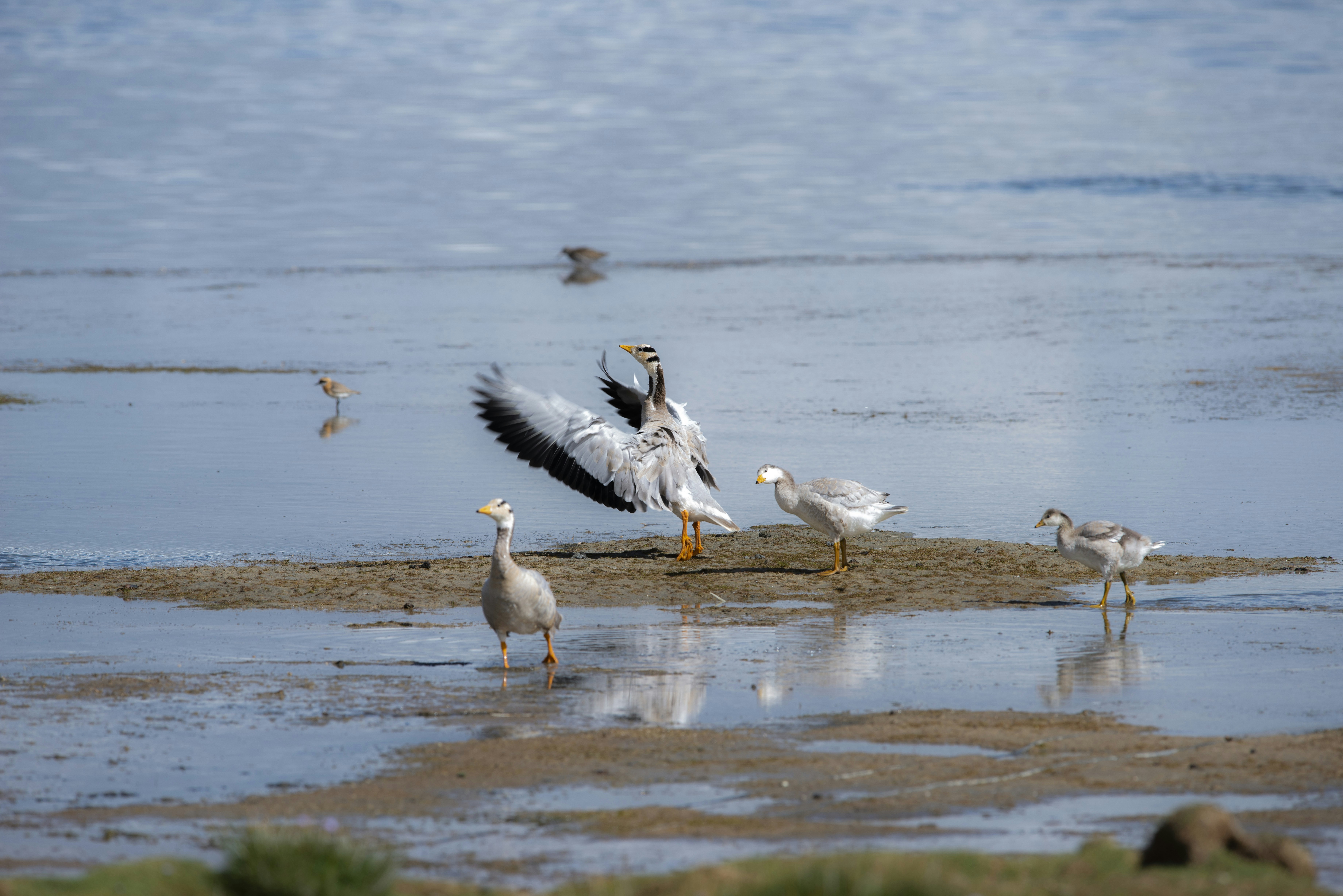 Photo by sakana_yoyo