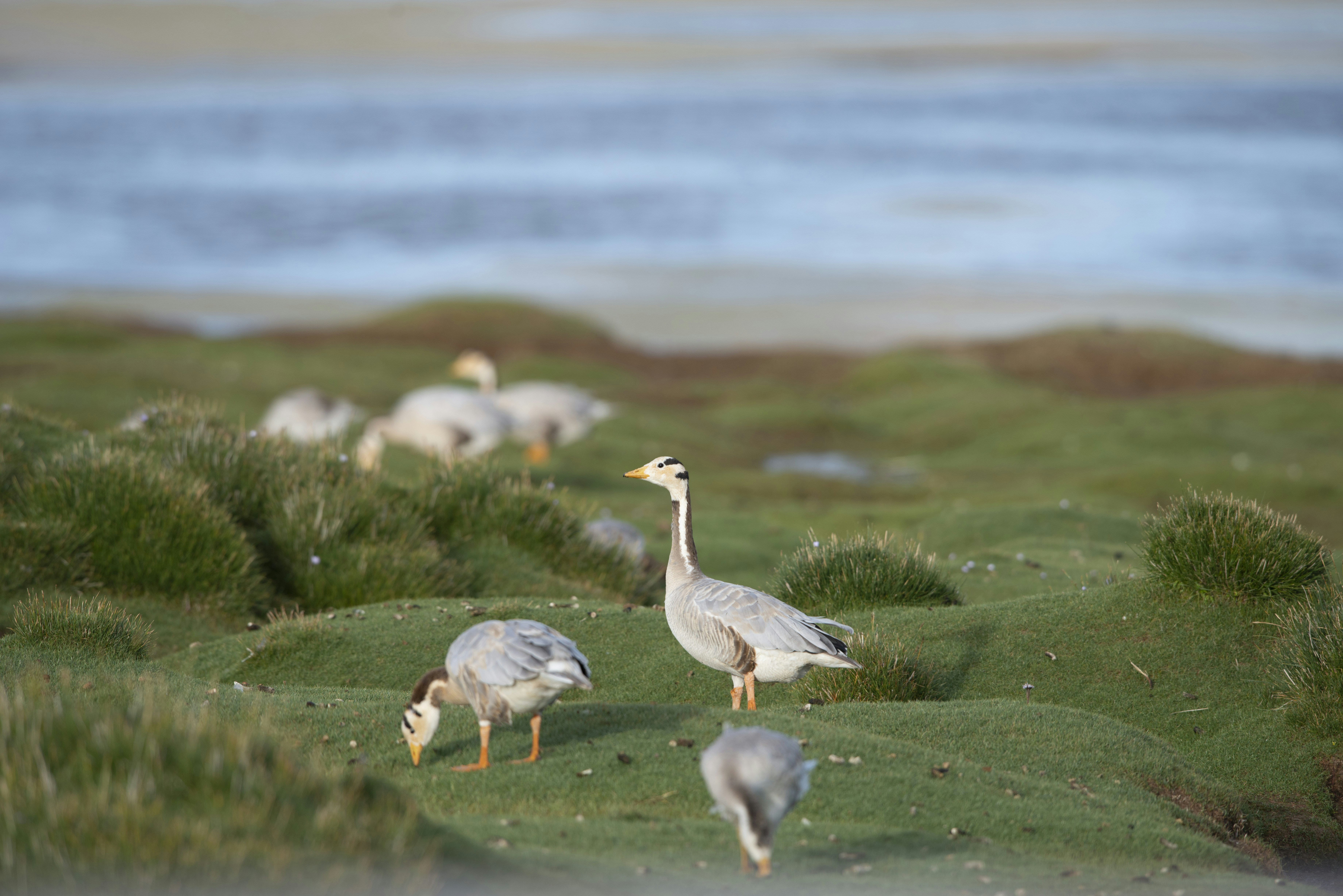 Photo by sakana_yoyo