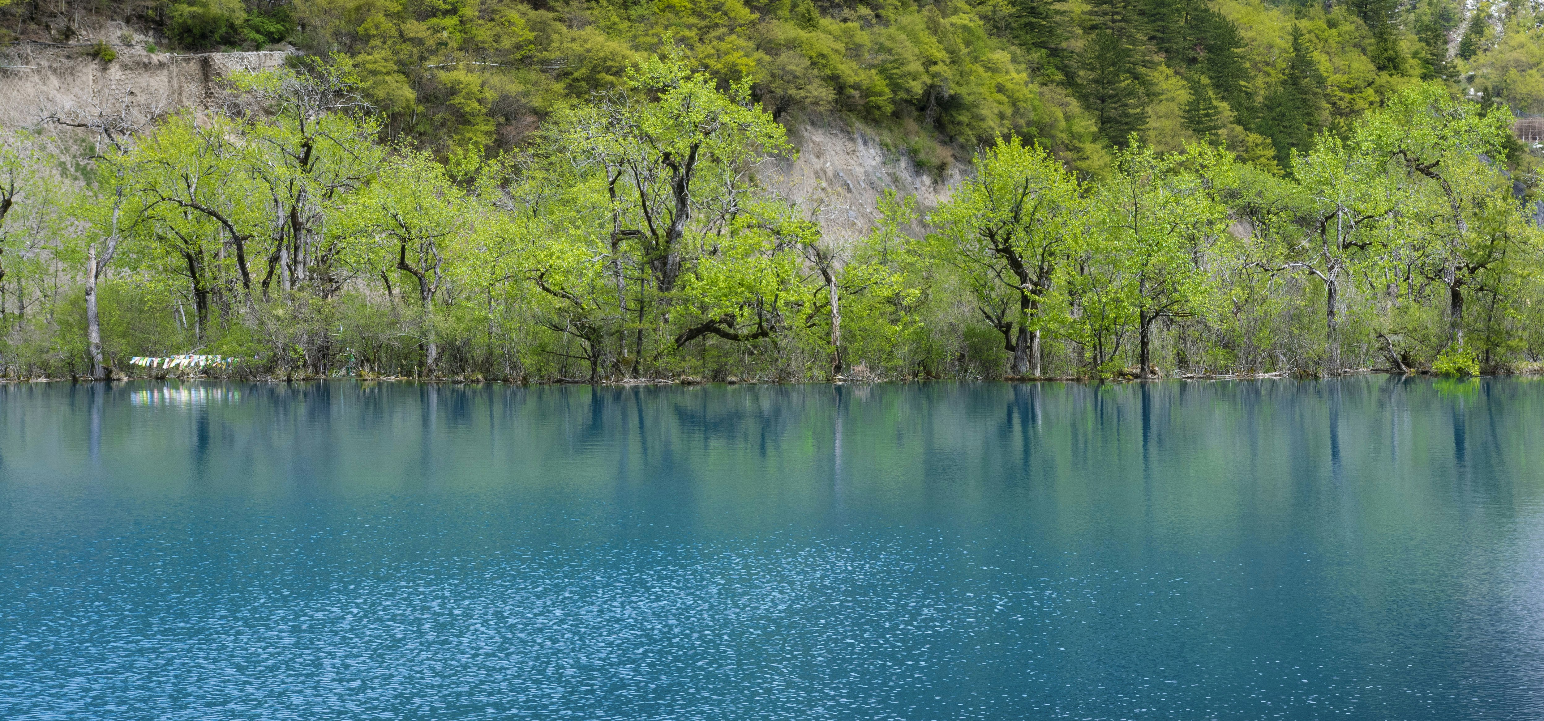 Photo by sakana_yoyo