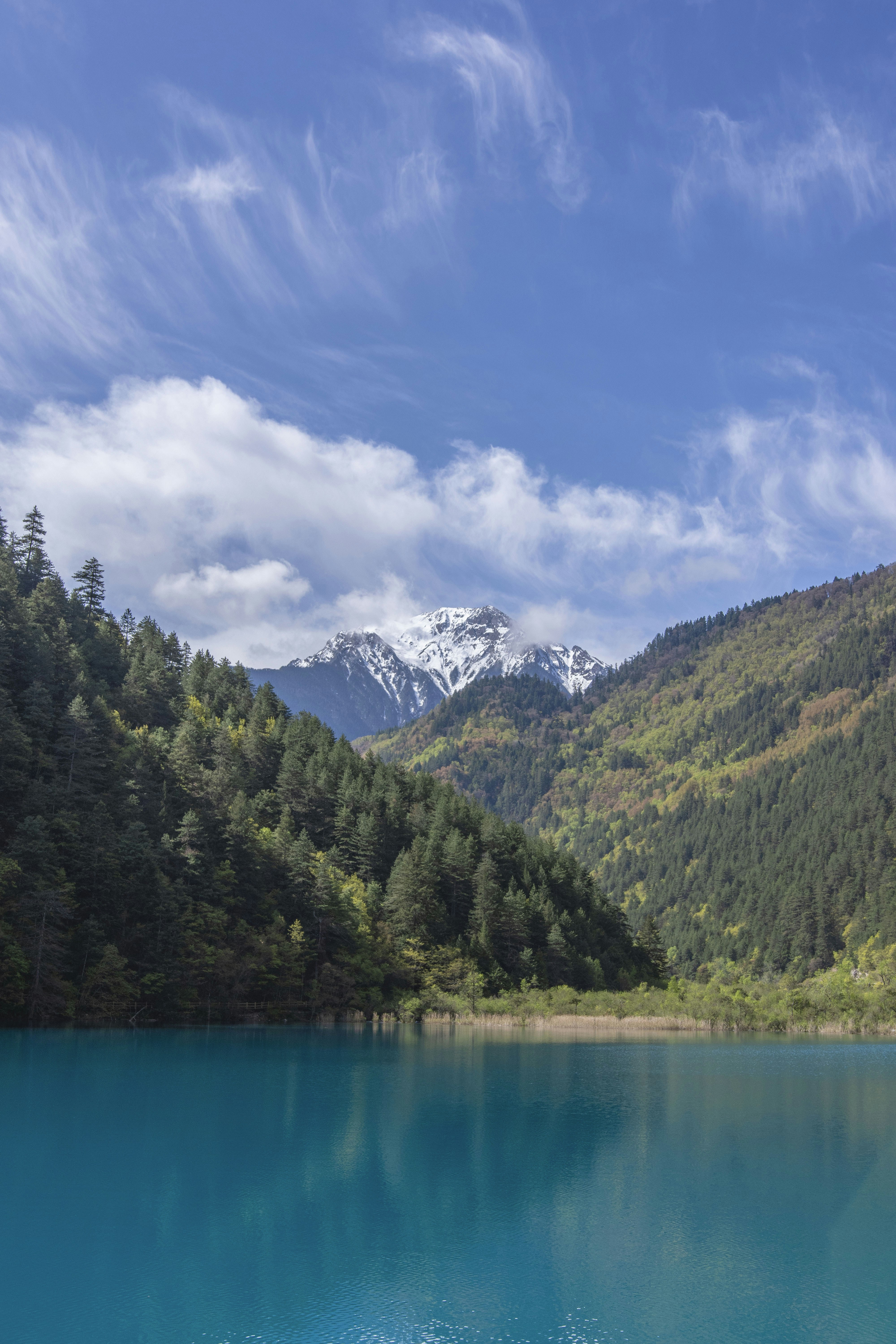 Photo by sakana_yoyo