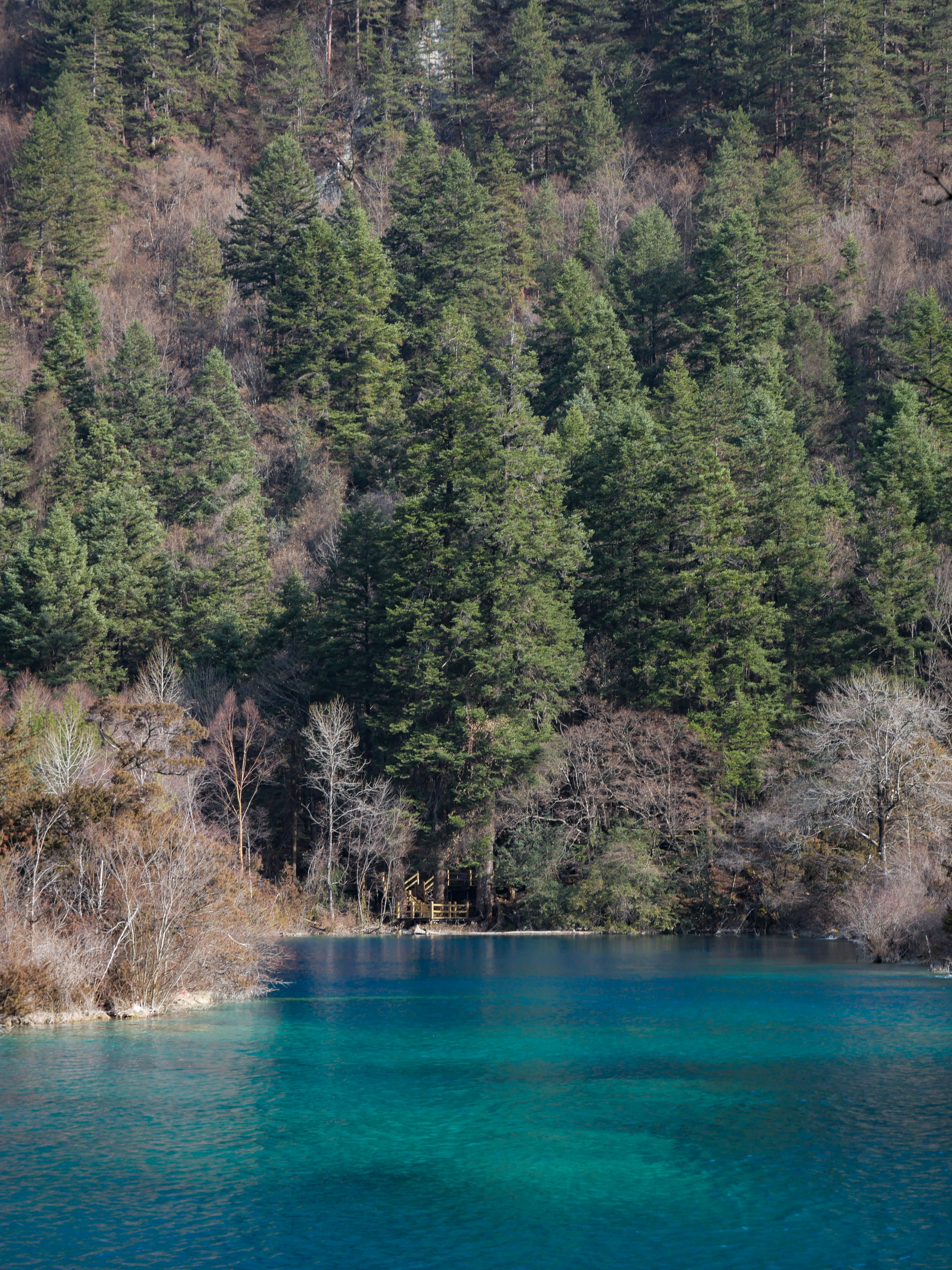 Photo by sakana_yoyo