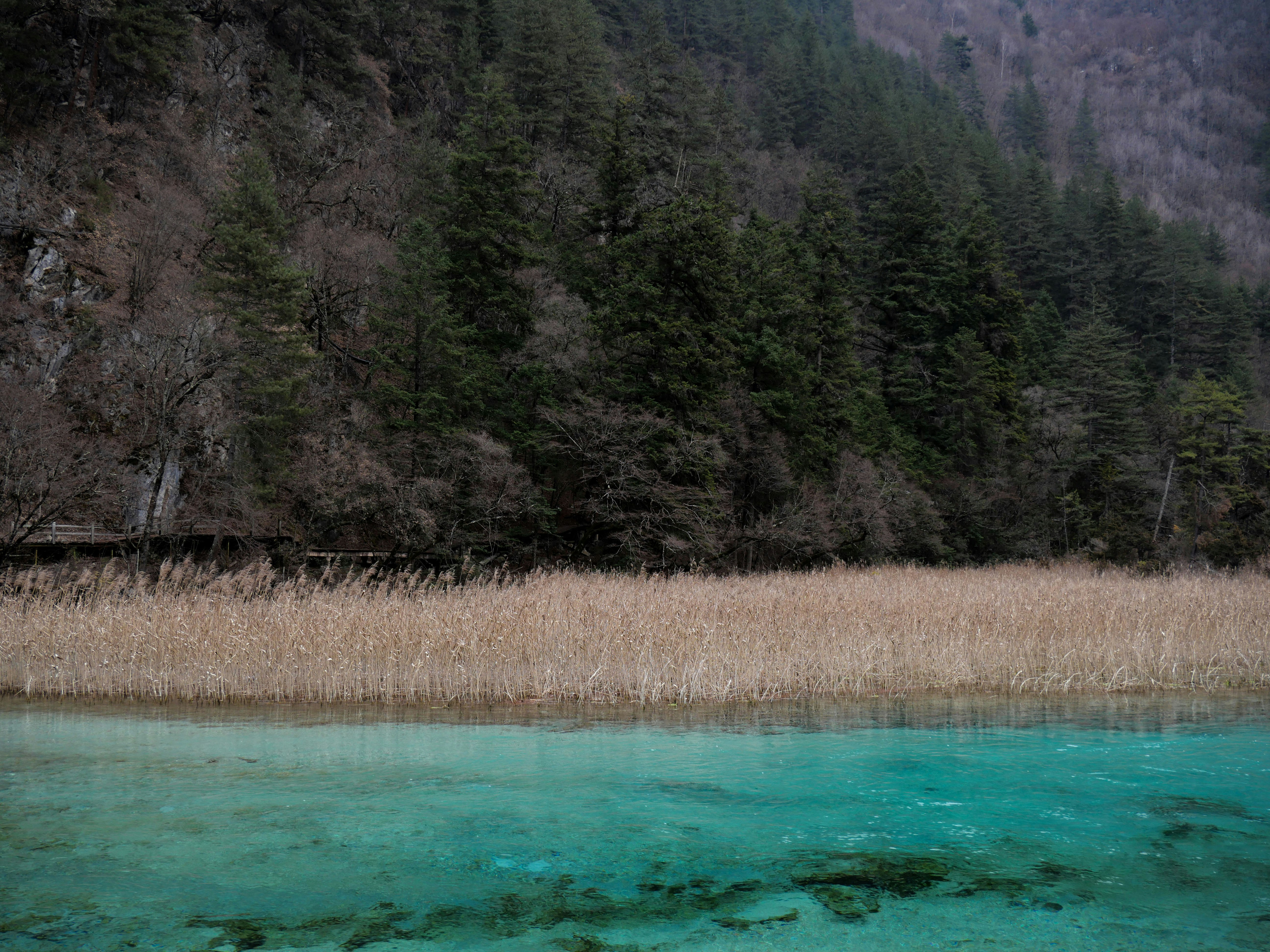 Photo by sakana_yoyo