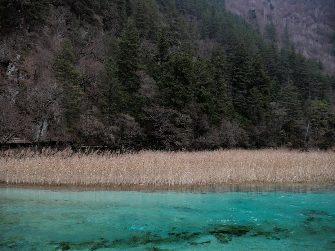 Colorful turquoise lake in Jiuzhaigou Valley