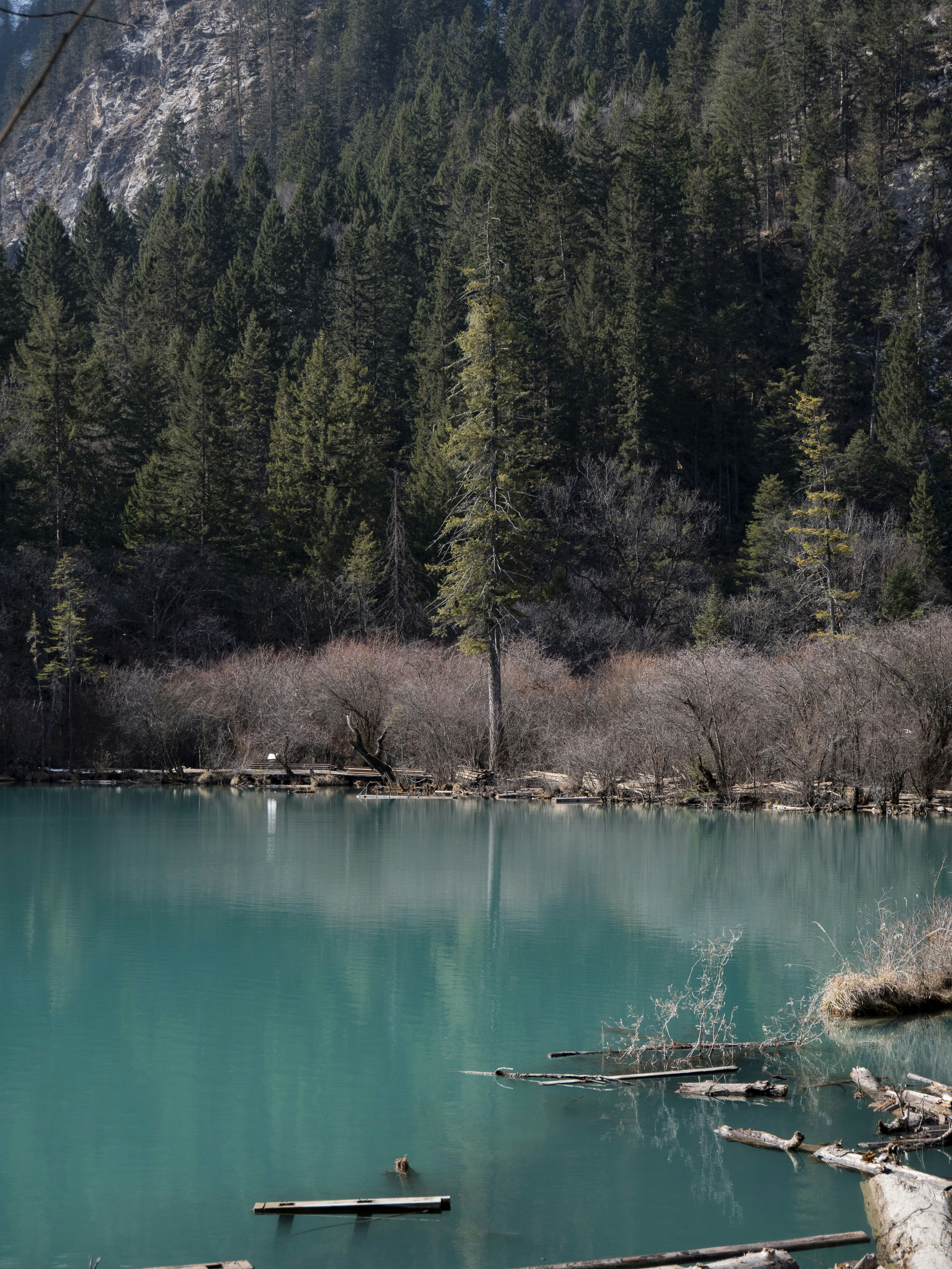 Photo by sakana_yoyo