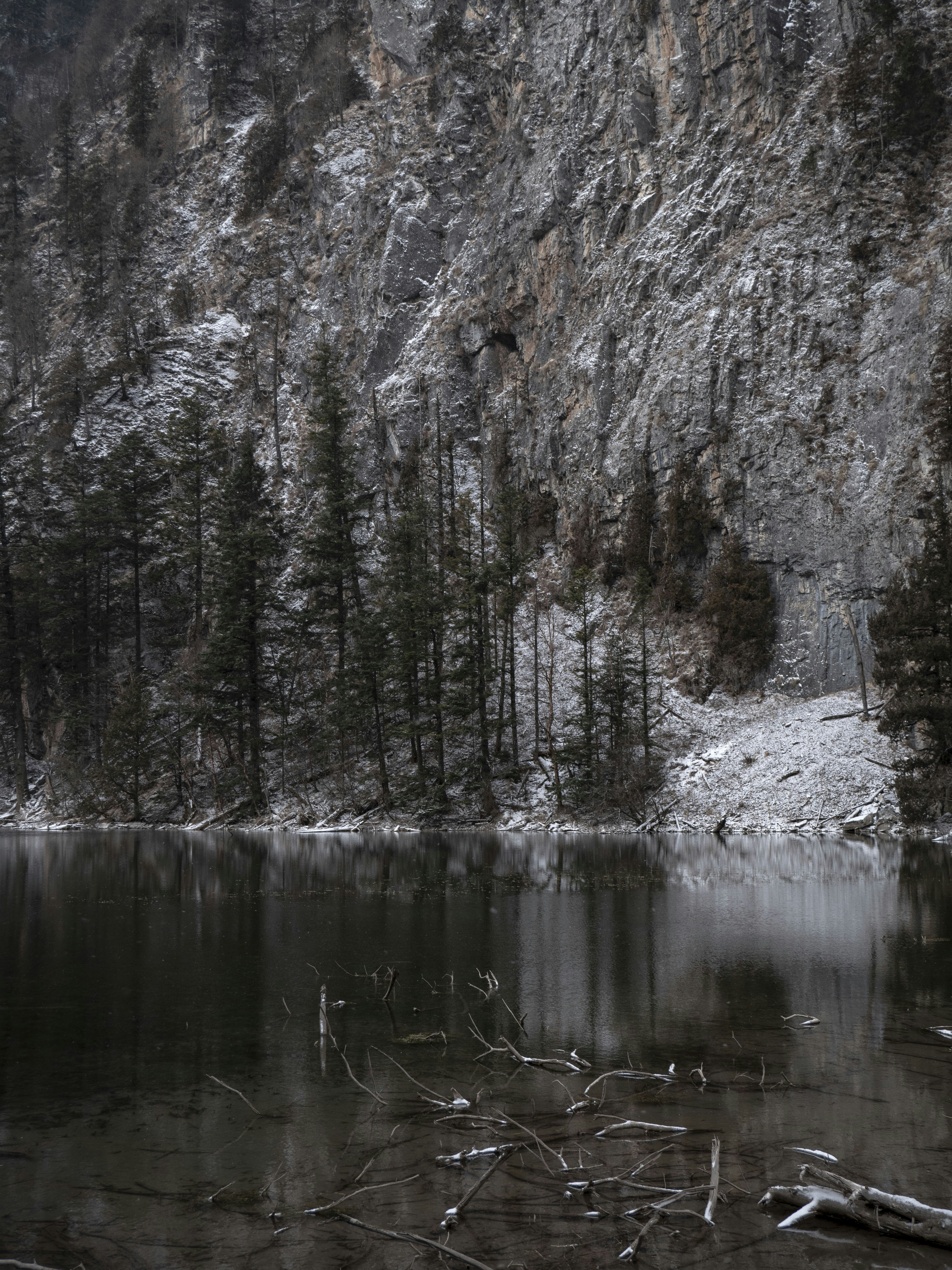 Photo by sakana_yoyo