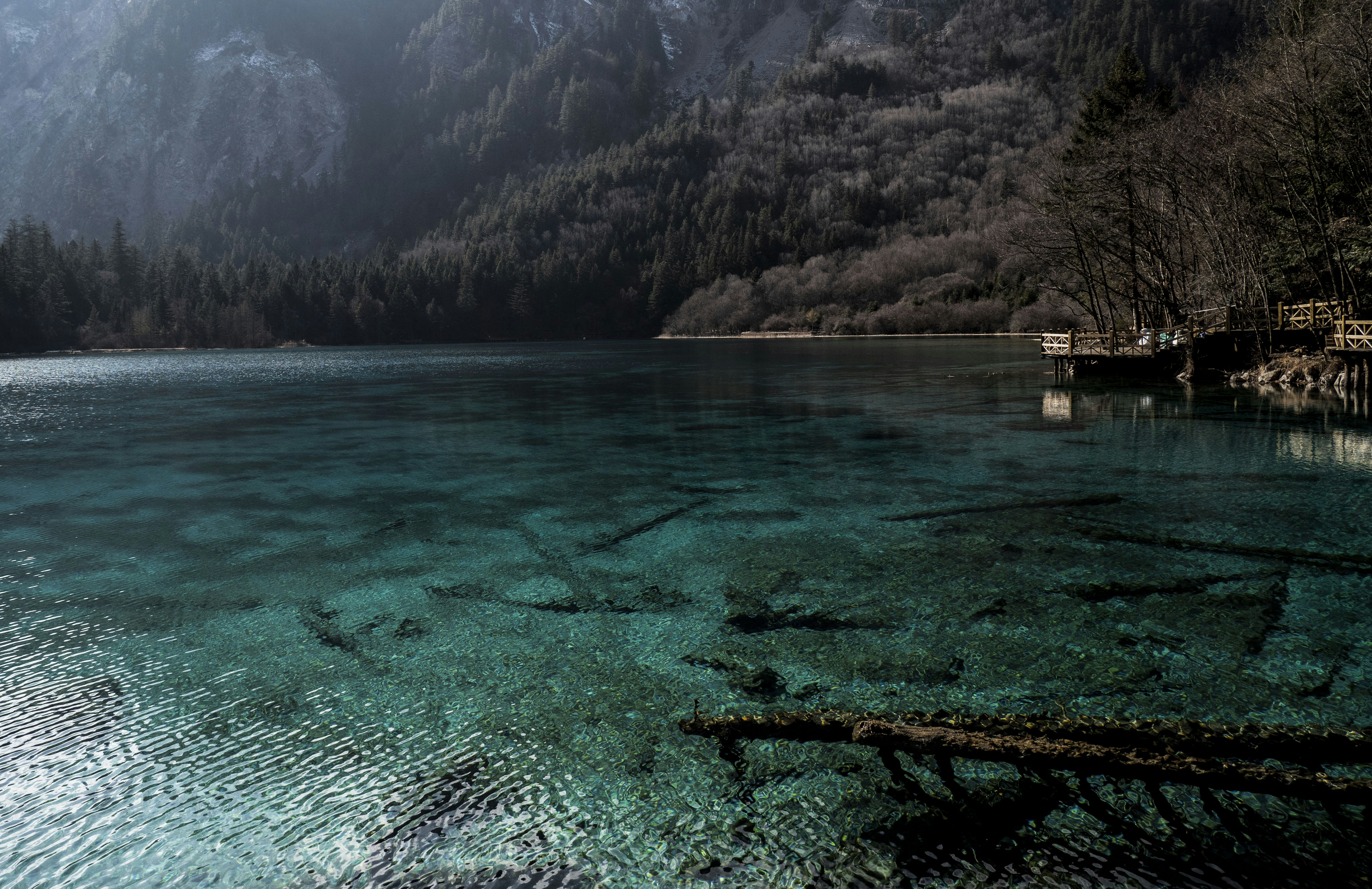 Photo by sakana_yoyo