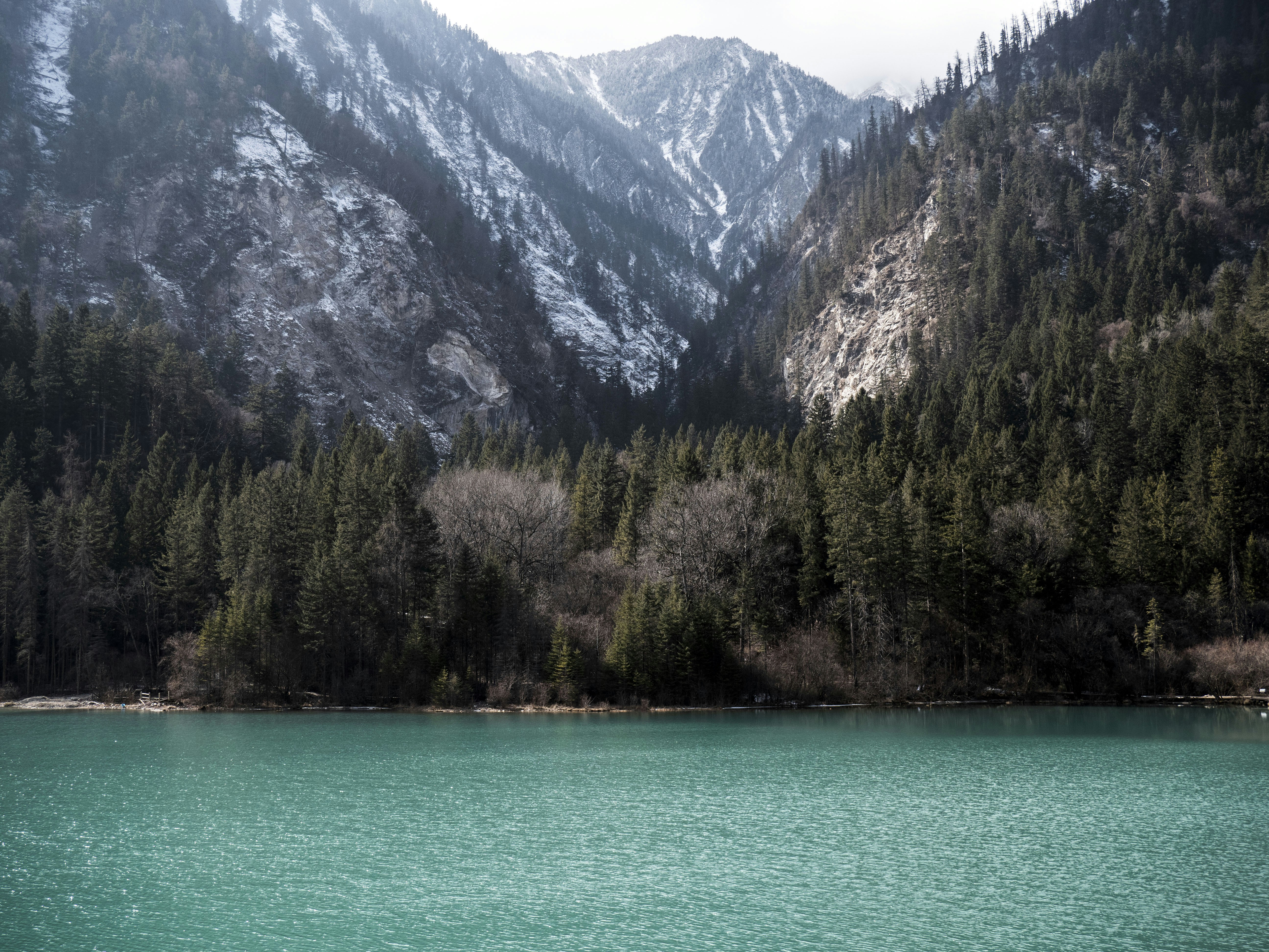 Photo by sakana_yoyo