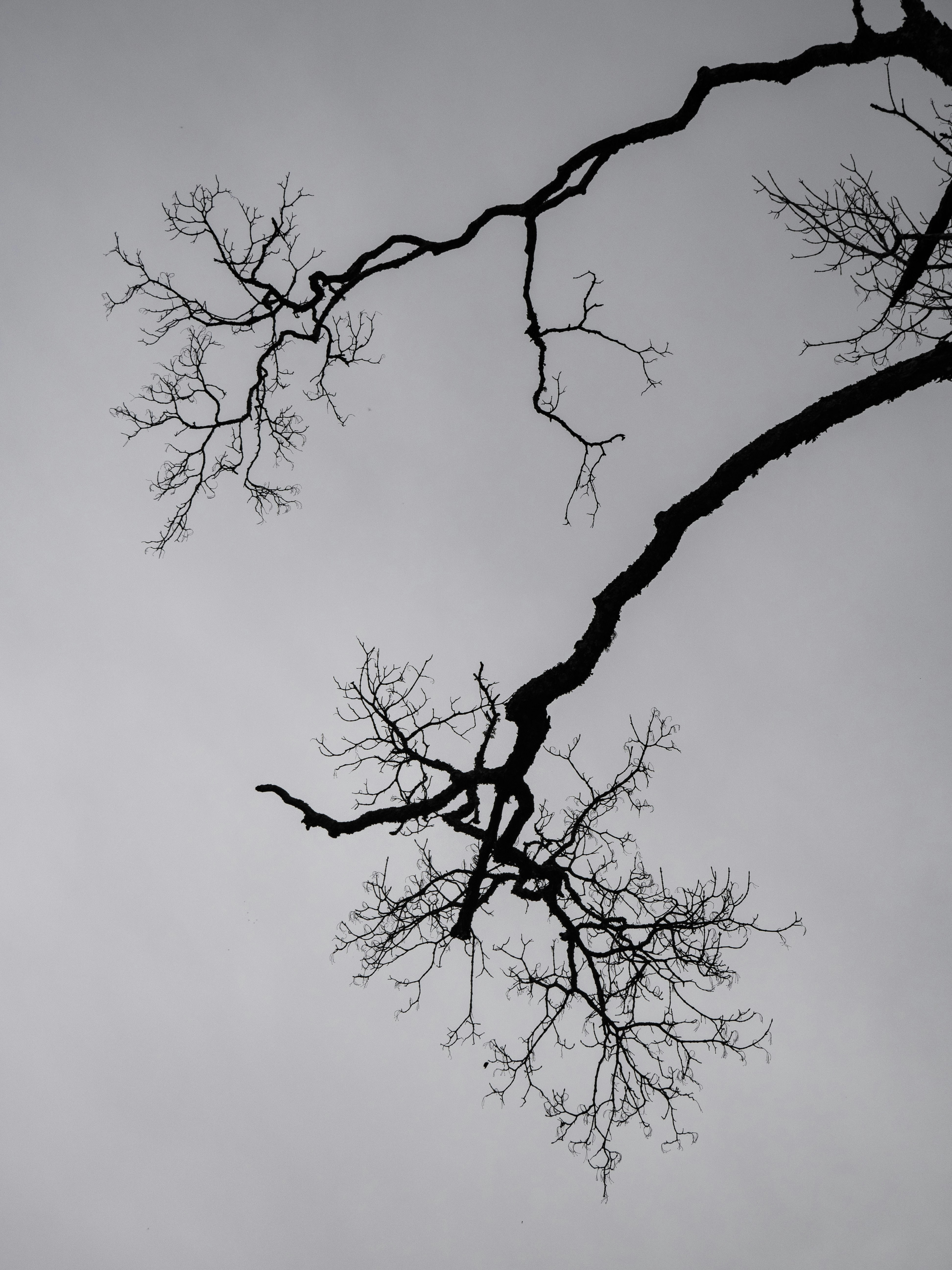 Photo by sakana_yoyo