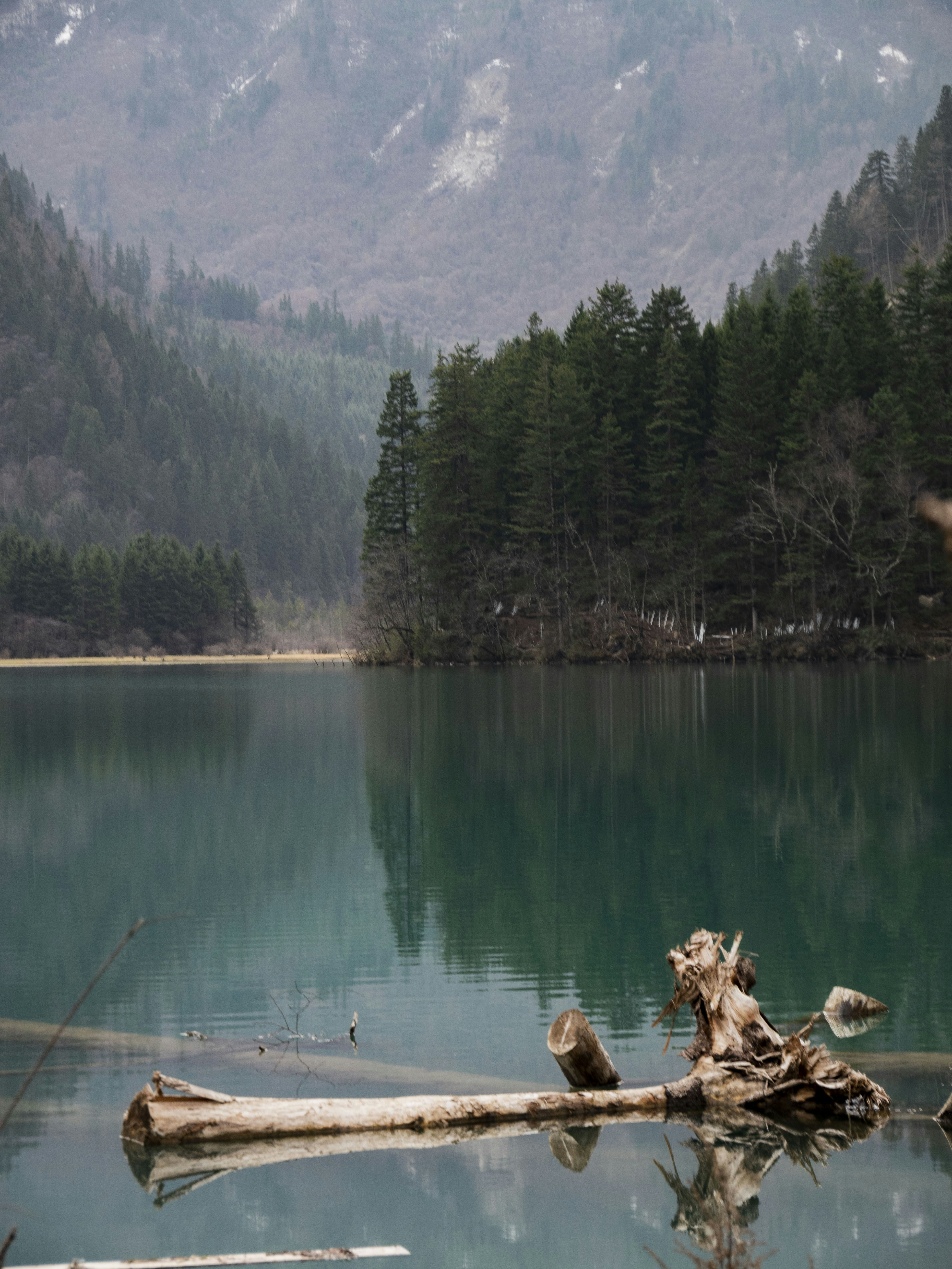 Photo by sakana_yoyo