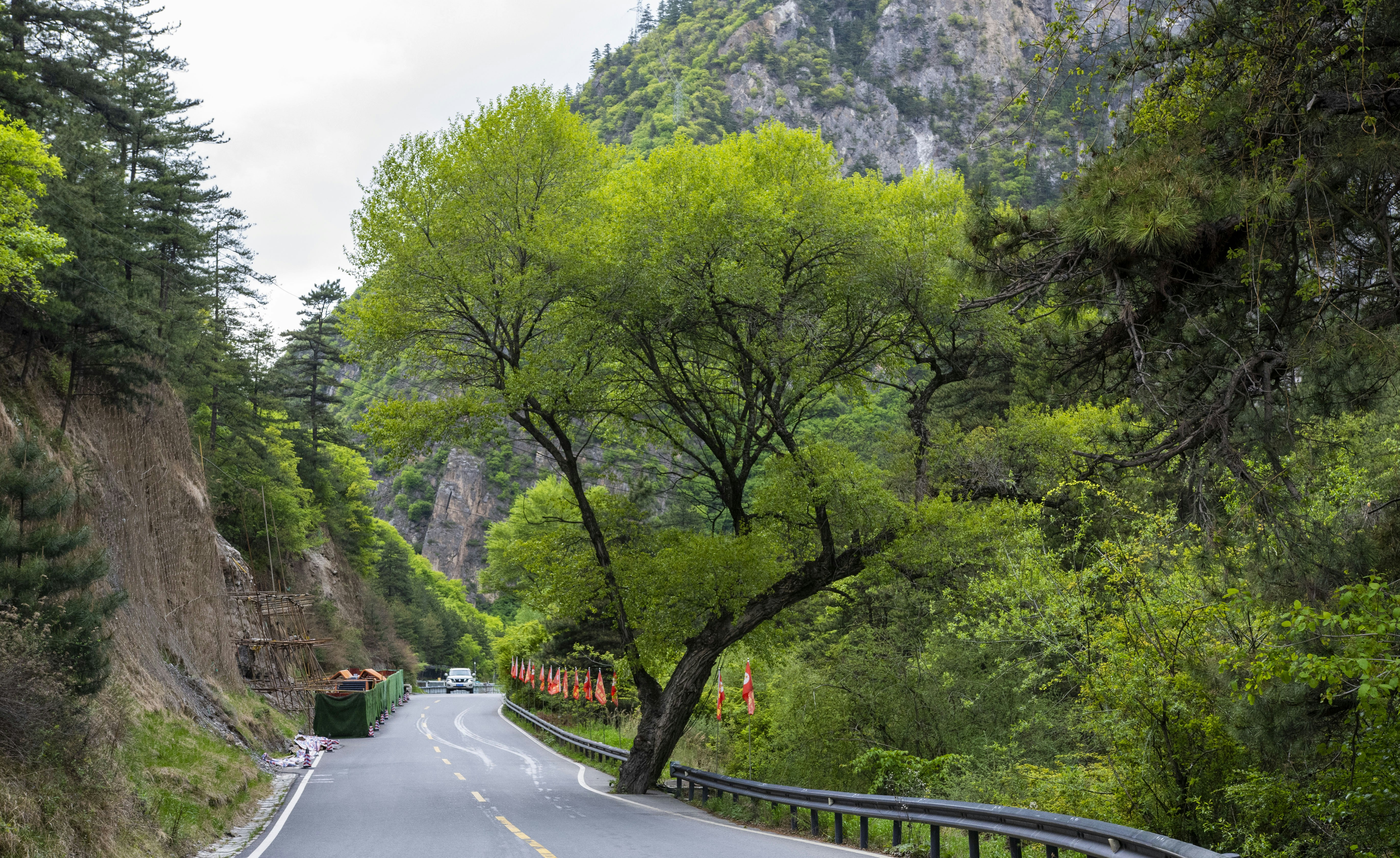 Transición ecológica de China: el camino al aire limpio