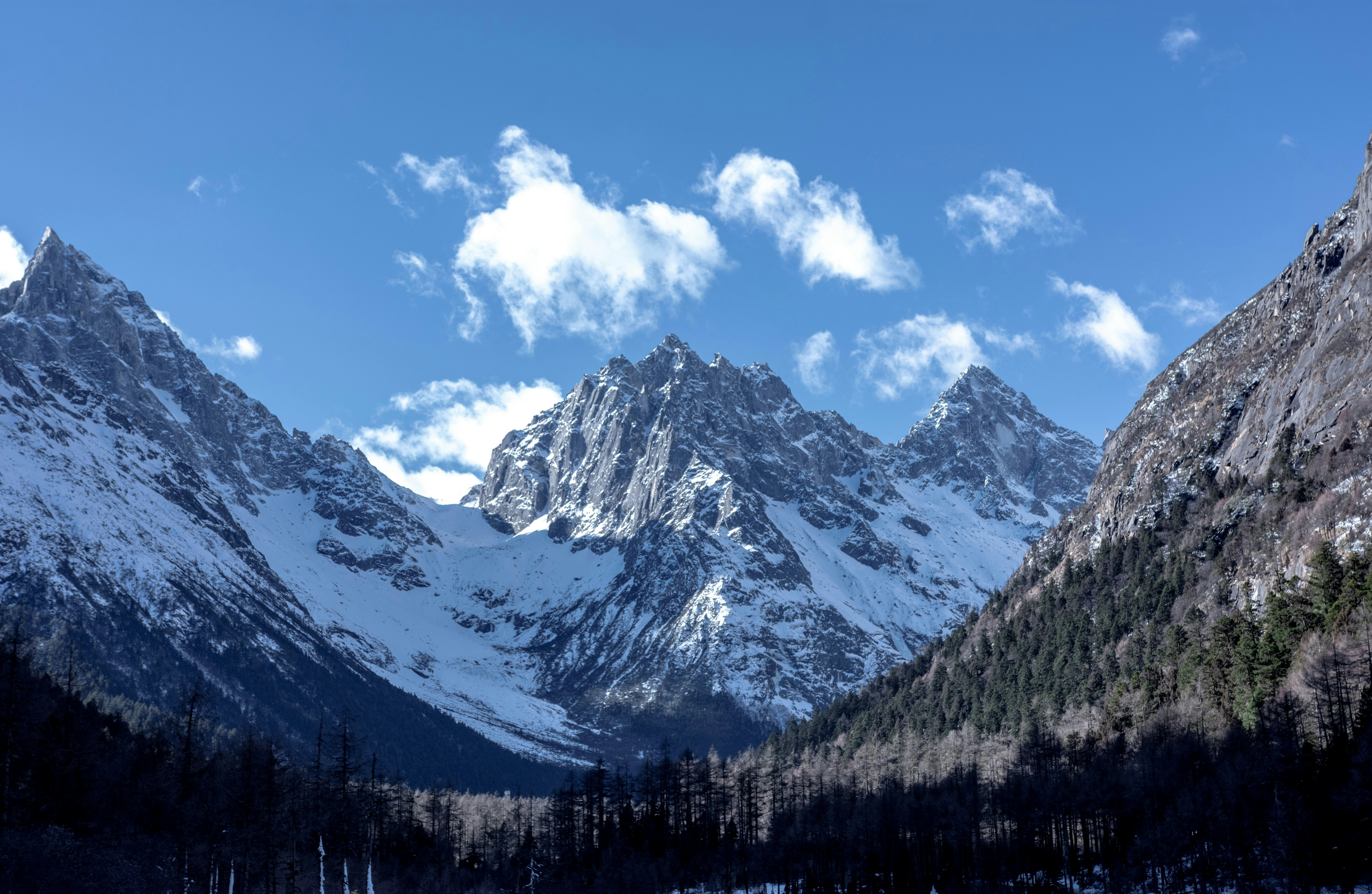 Photo by sakana_yoyo