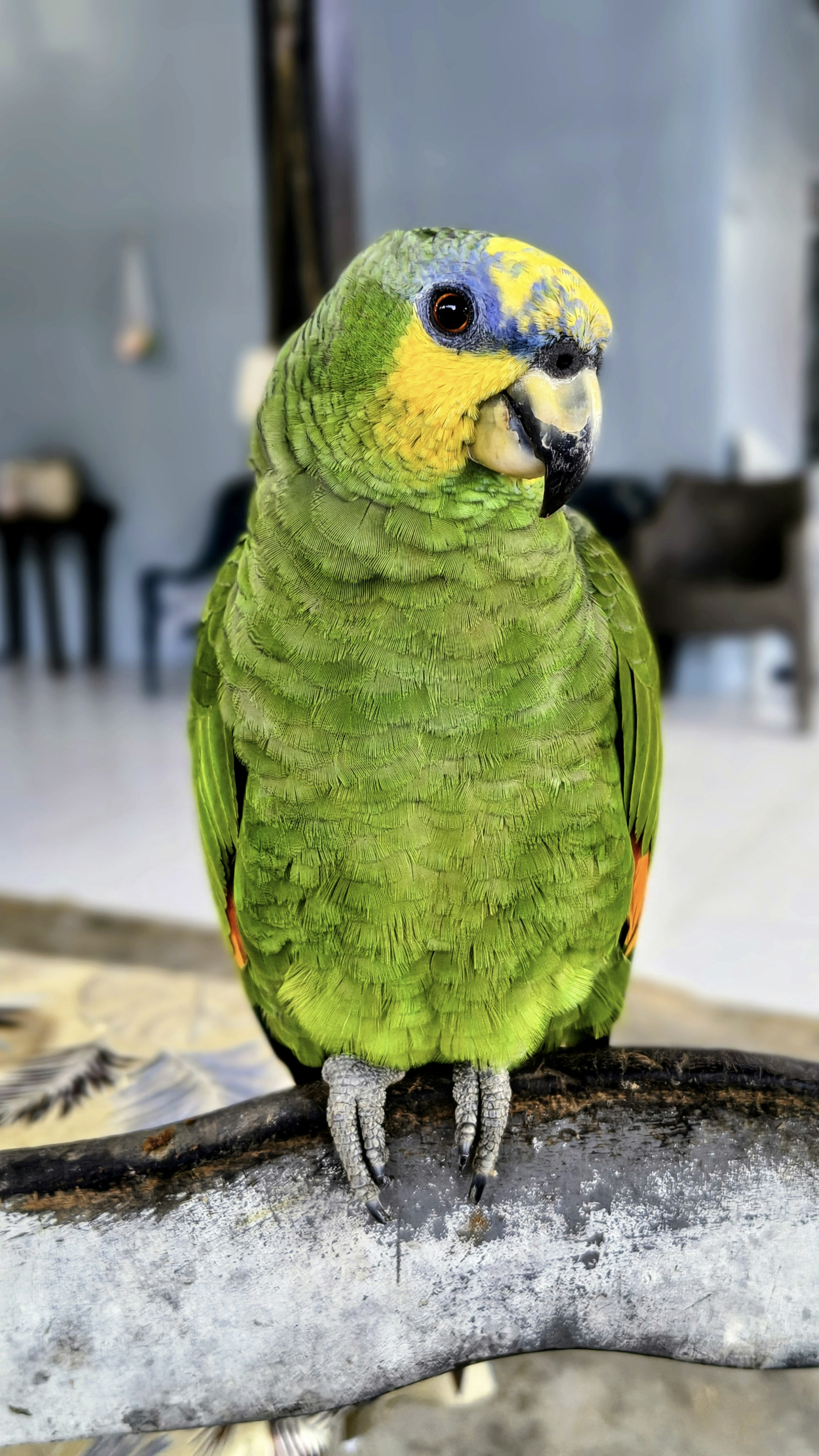 Photo by dienyportinanni