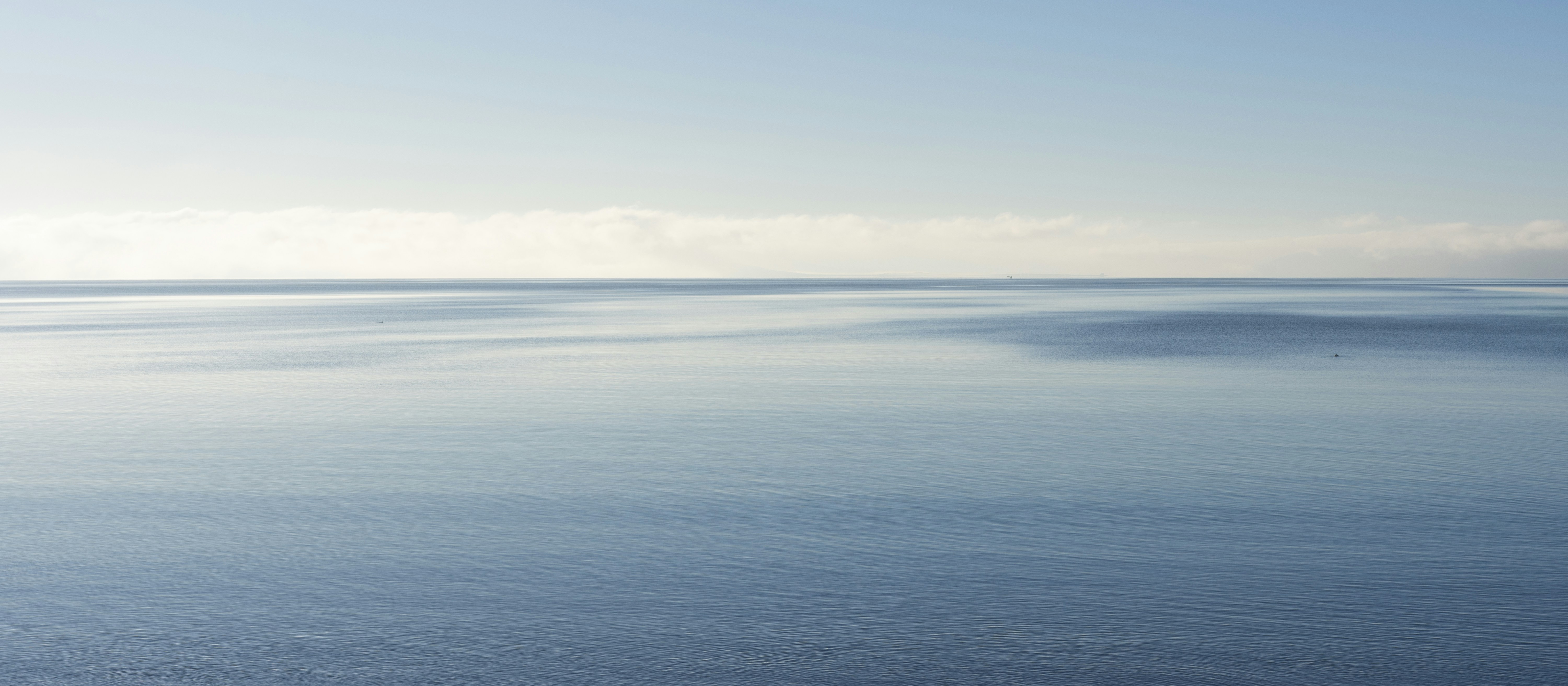 Photo by sakana_yoyo