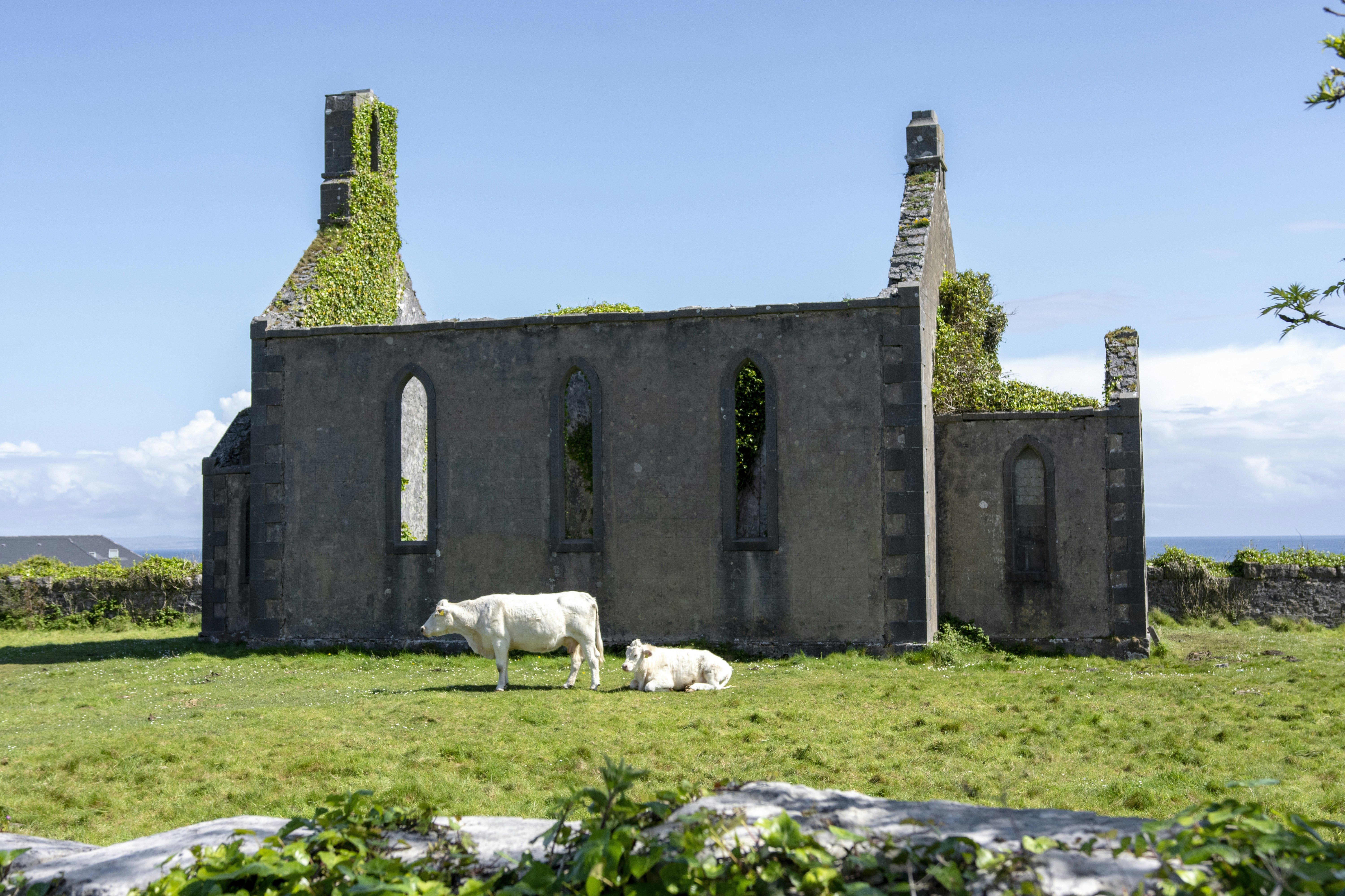 Photo by sakana_yoyo