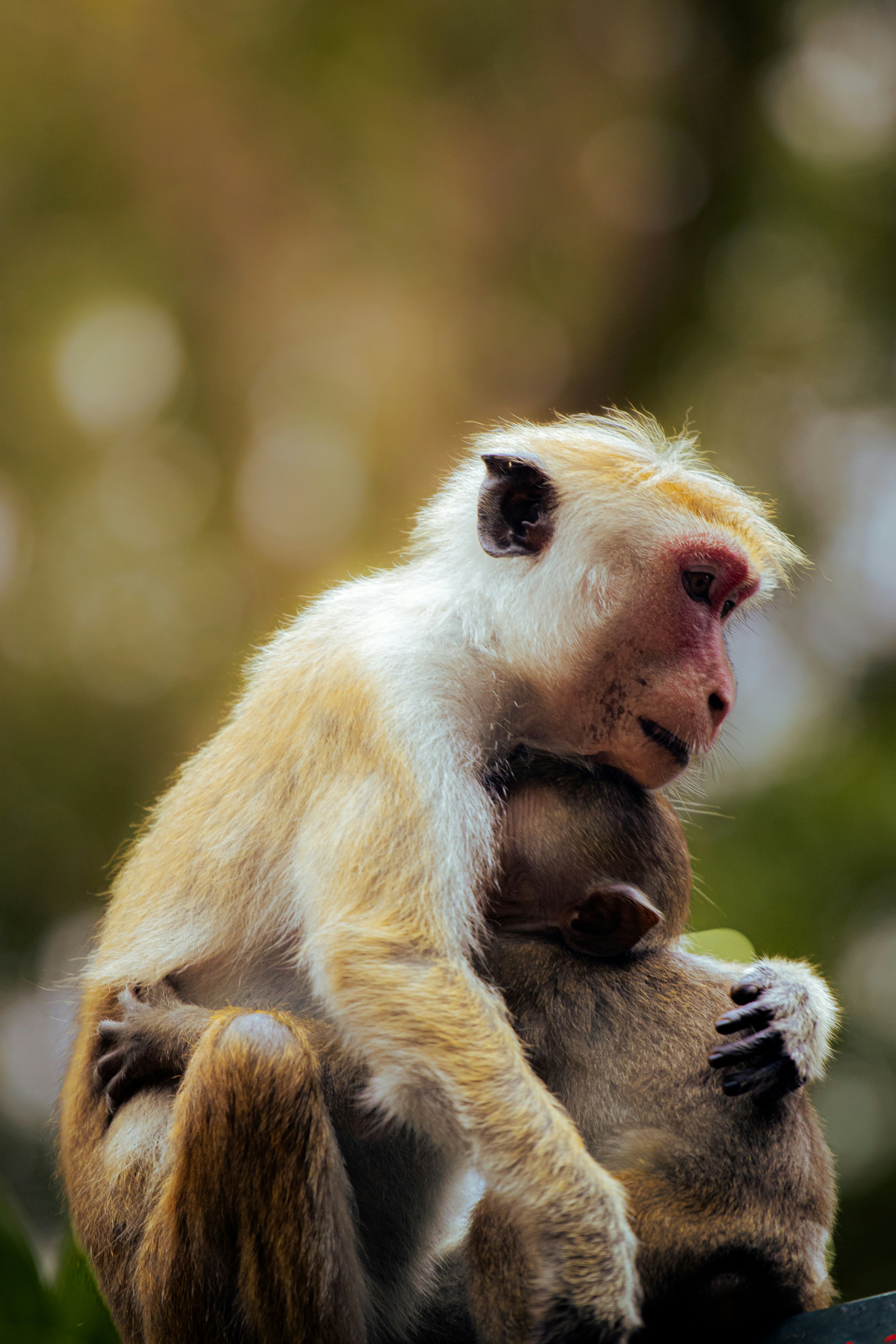 Photo by chanikadulnitha