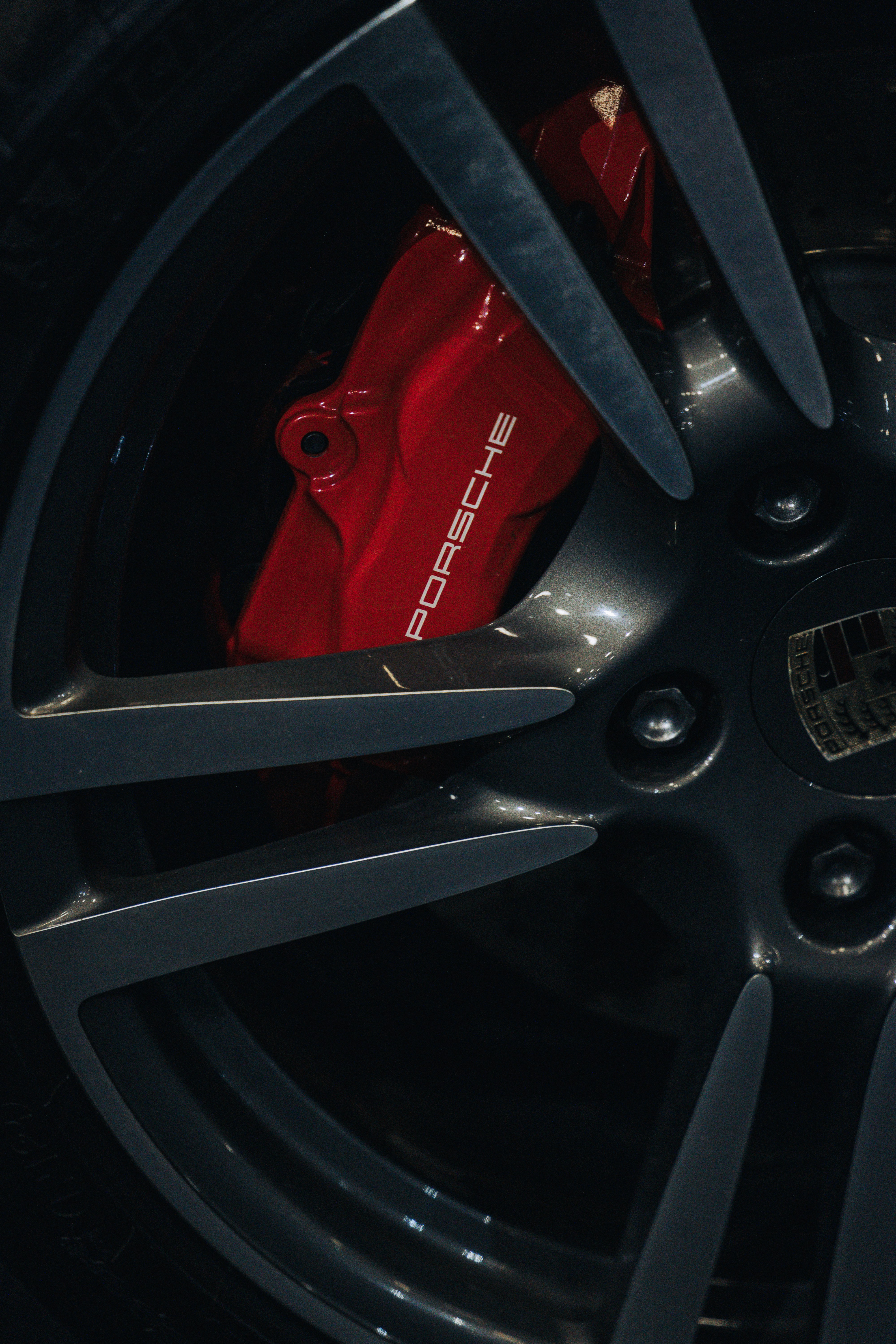 Photo by willhaddock