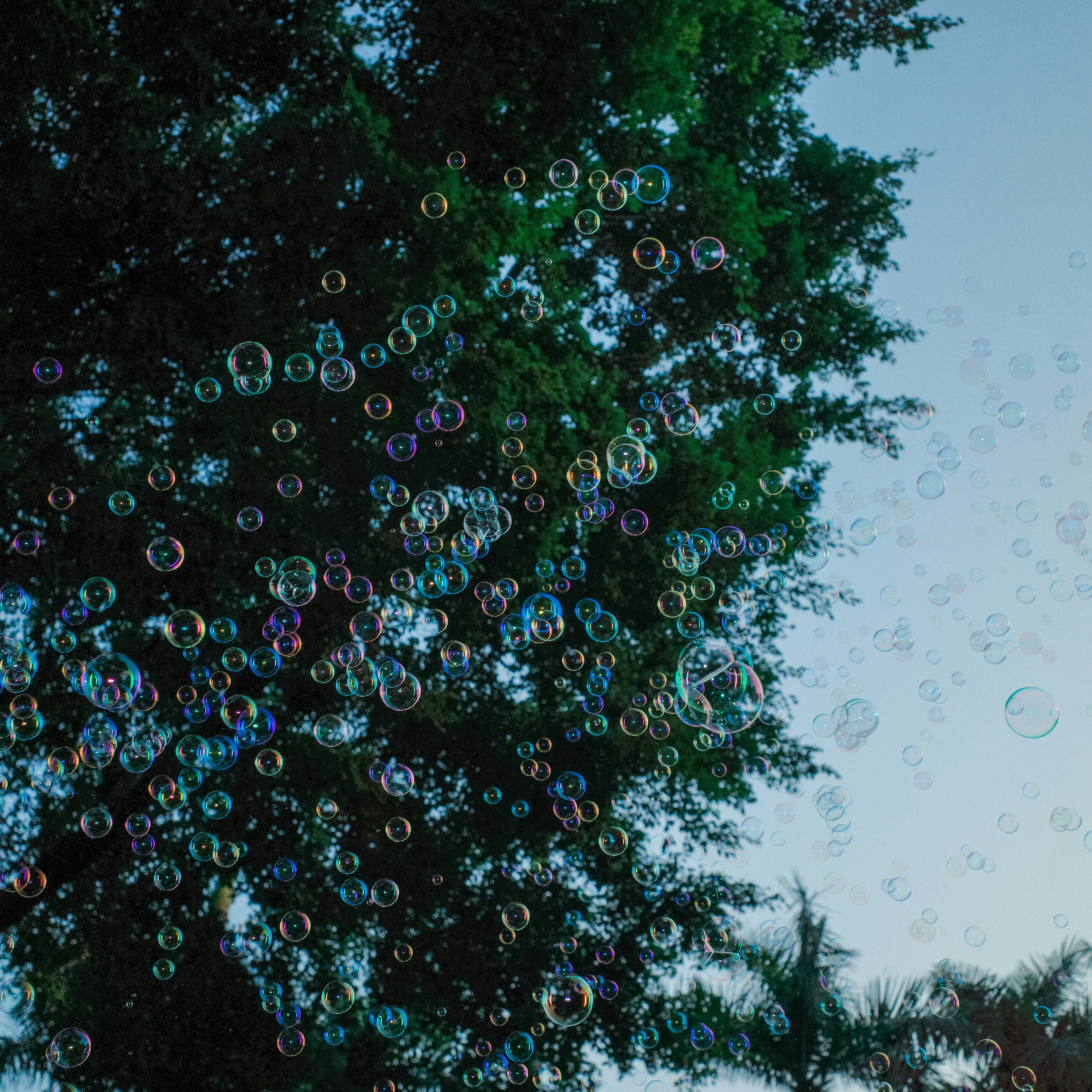 Photo by dickenslin76