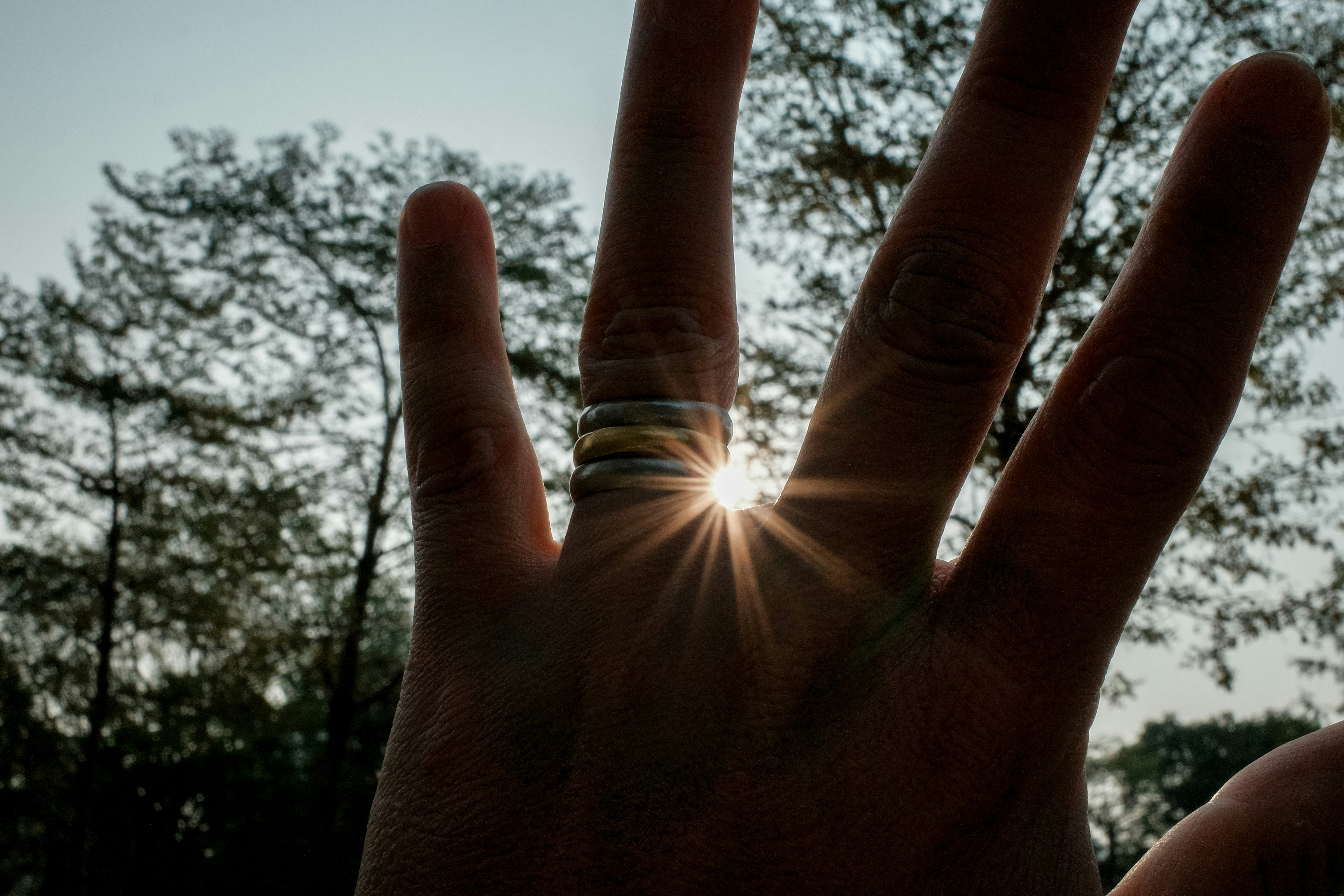 Photo by dickenslin76