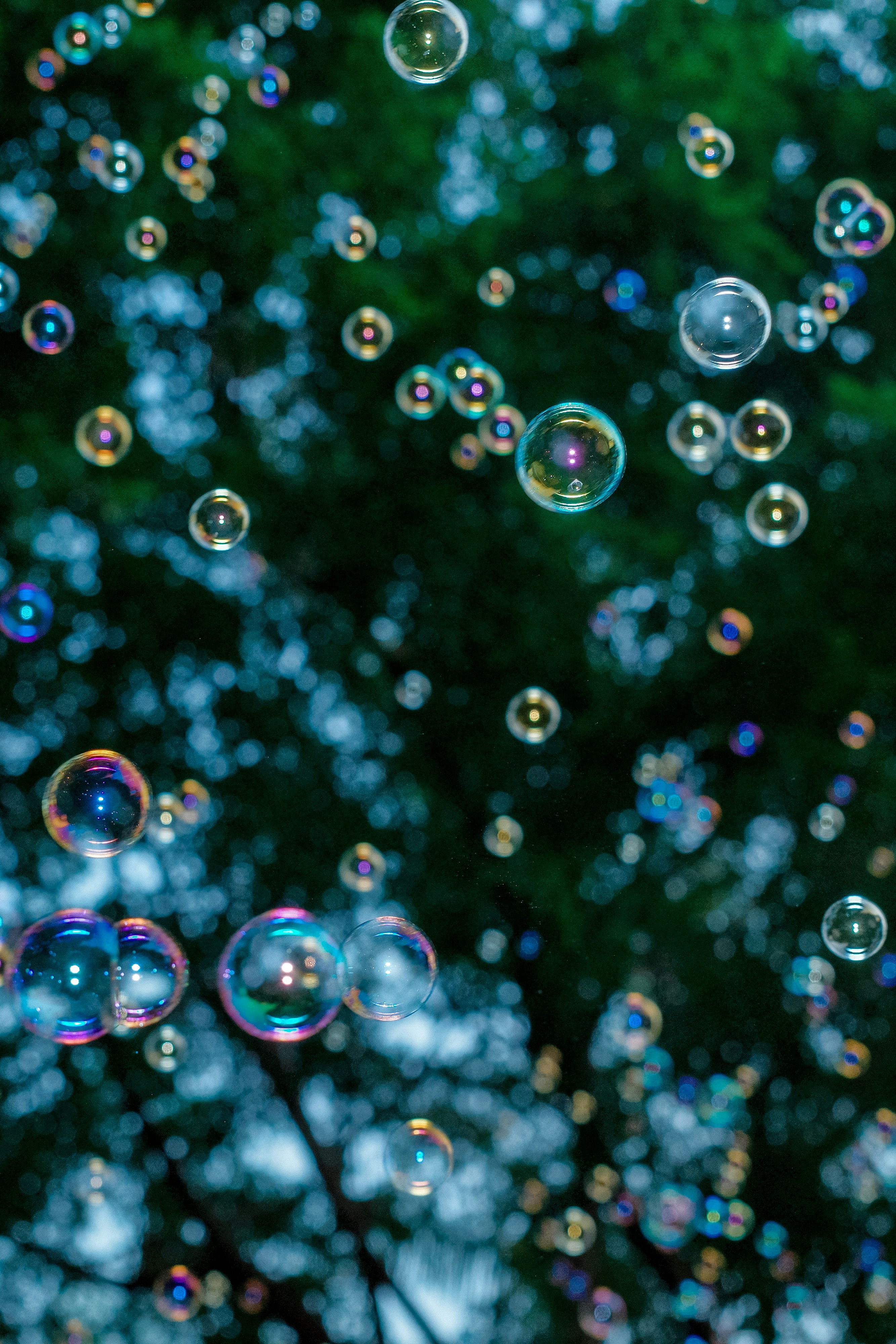 Photo by dickenslin76