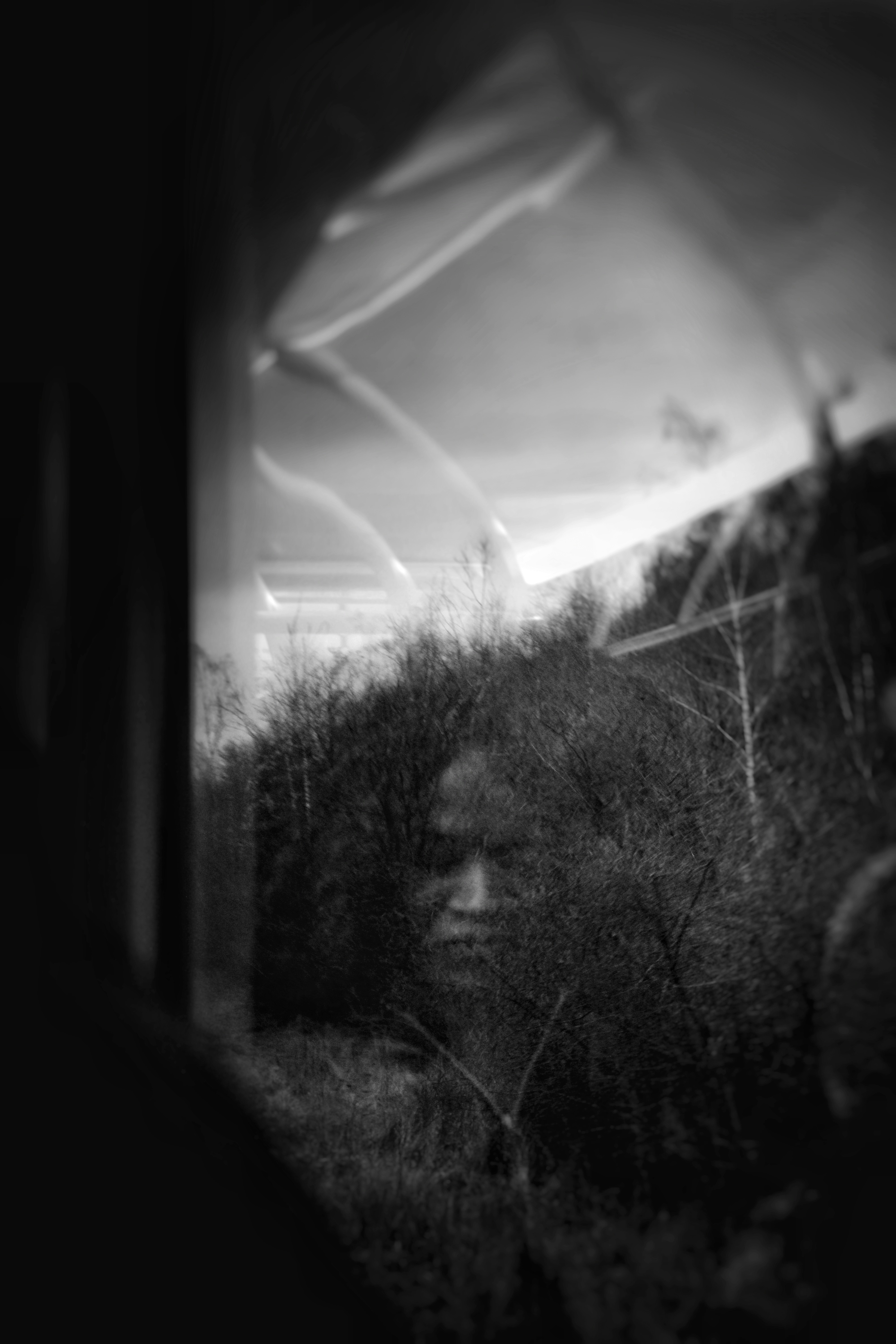 Eerie figure emerges from dense, dark foliage