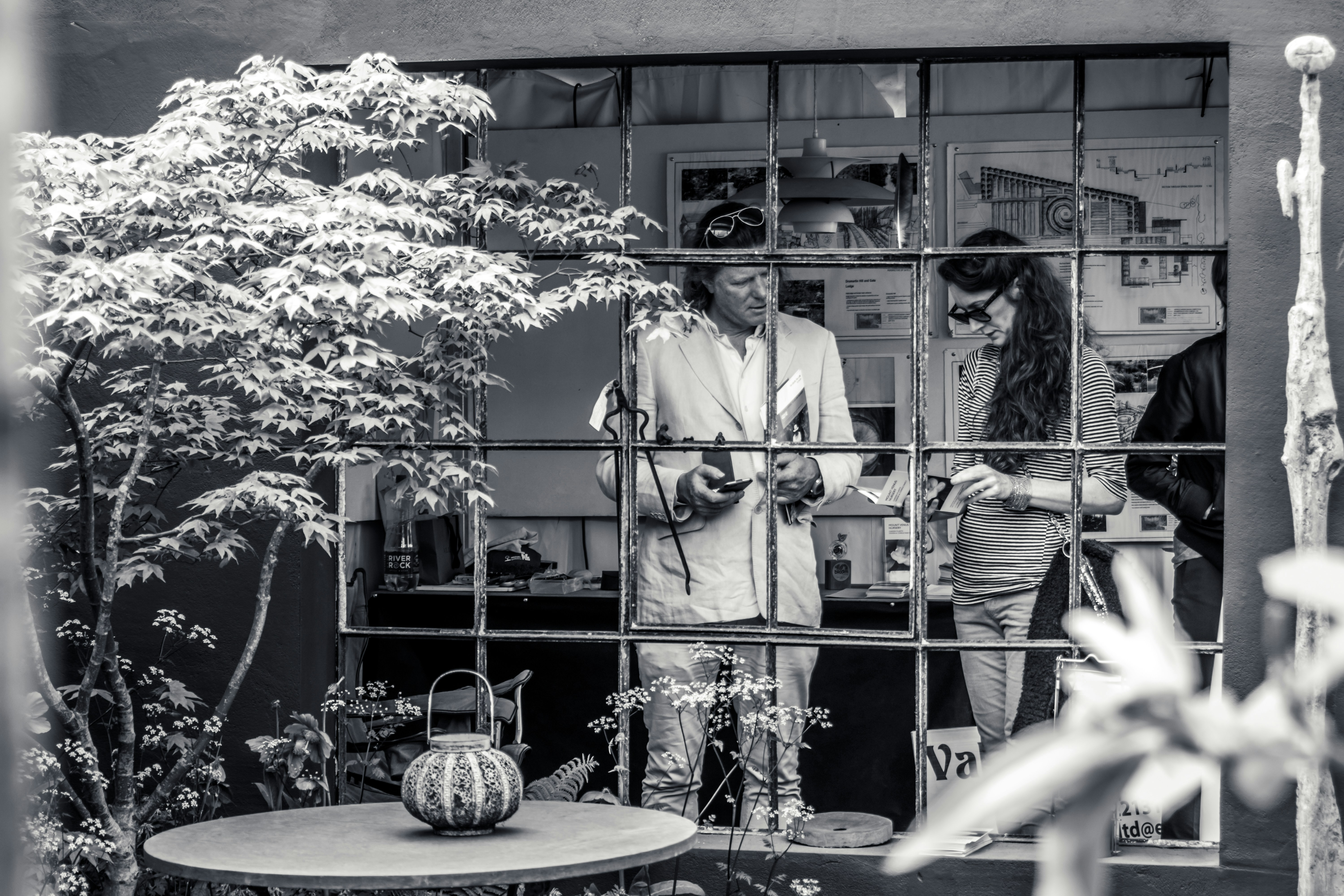 Two people talking through a window with a tree
