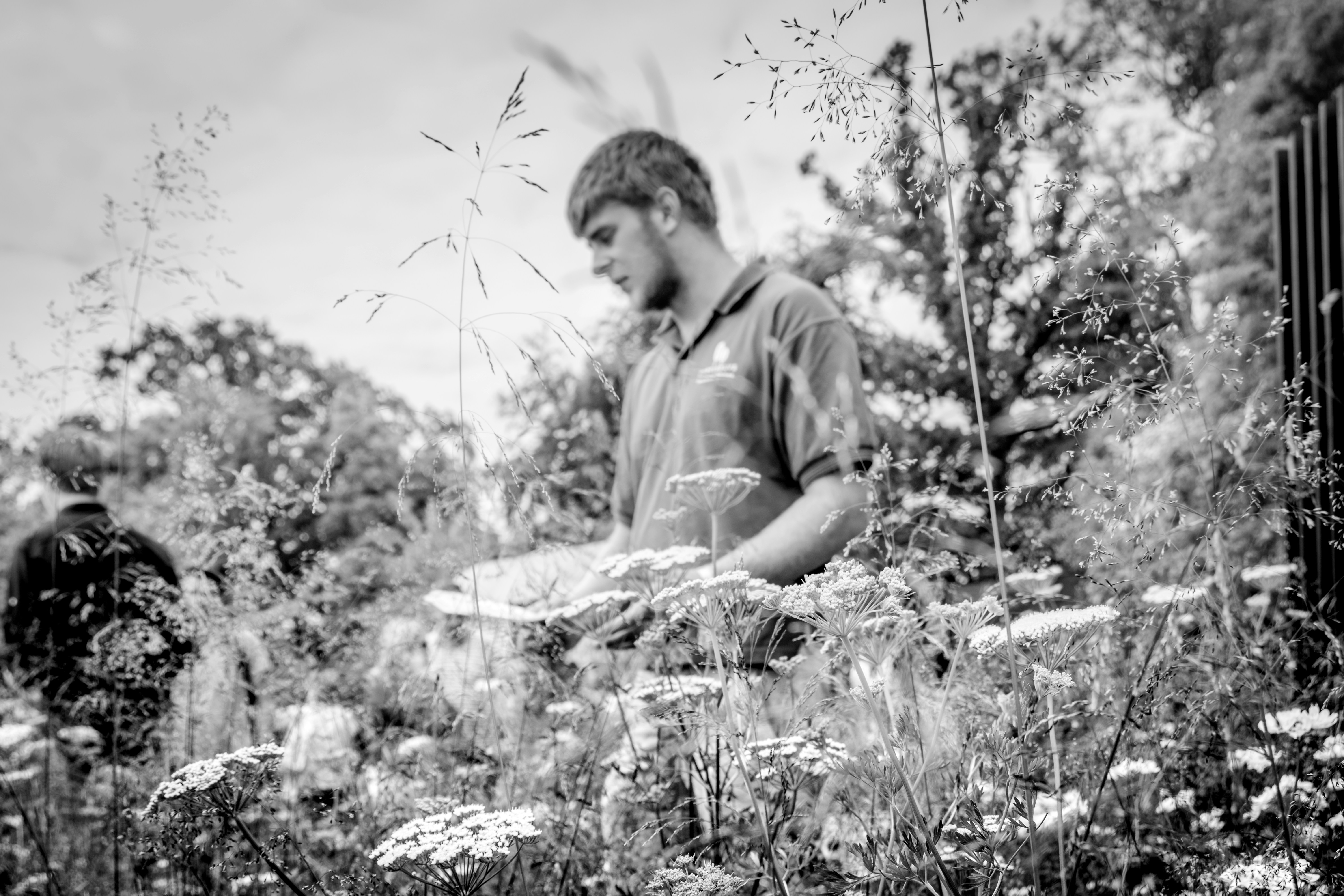 Young man tending to plants in a garden