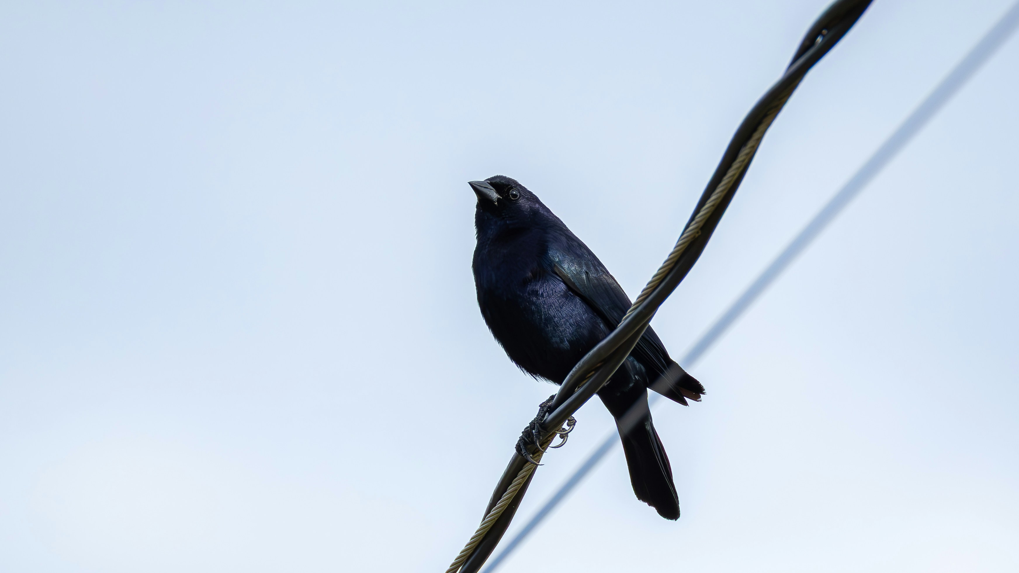 Photo by matheuskprot