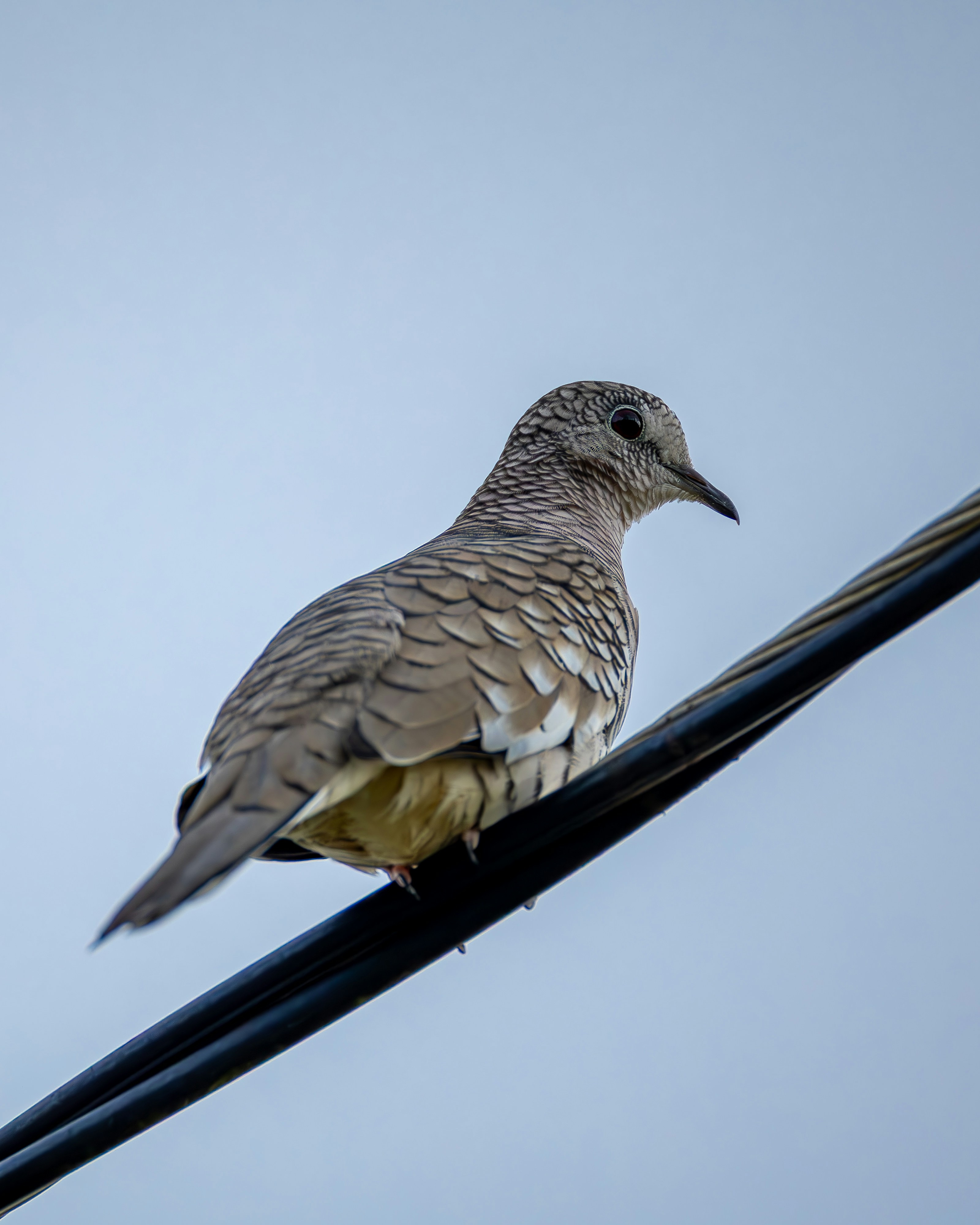 Photo by matheuskprot