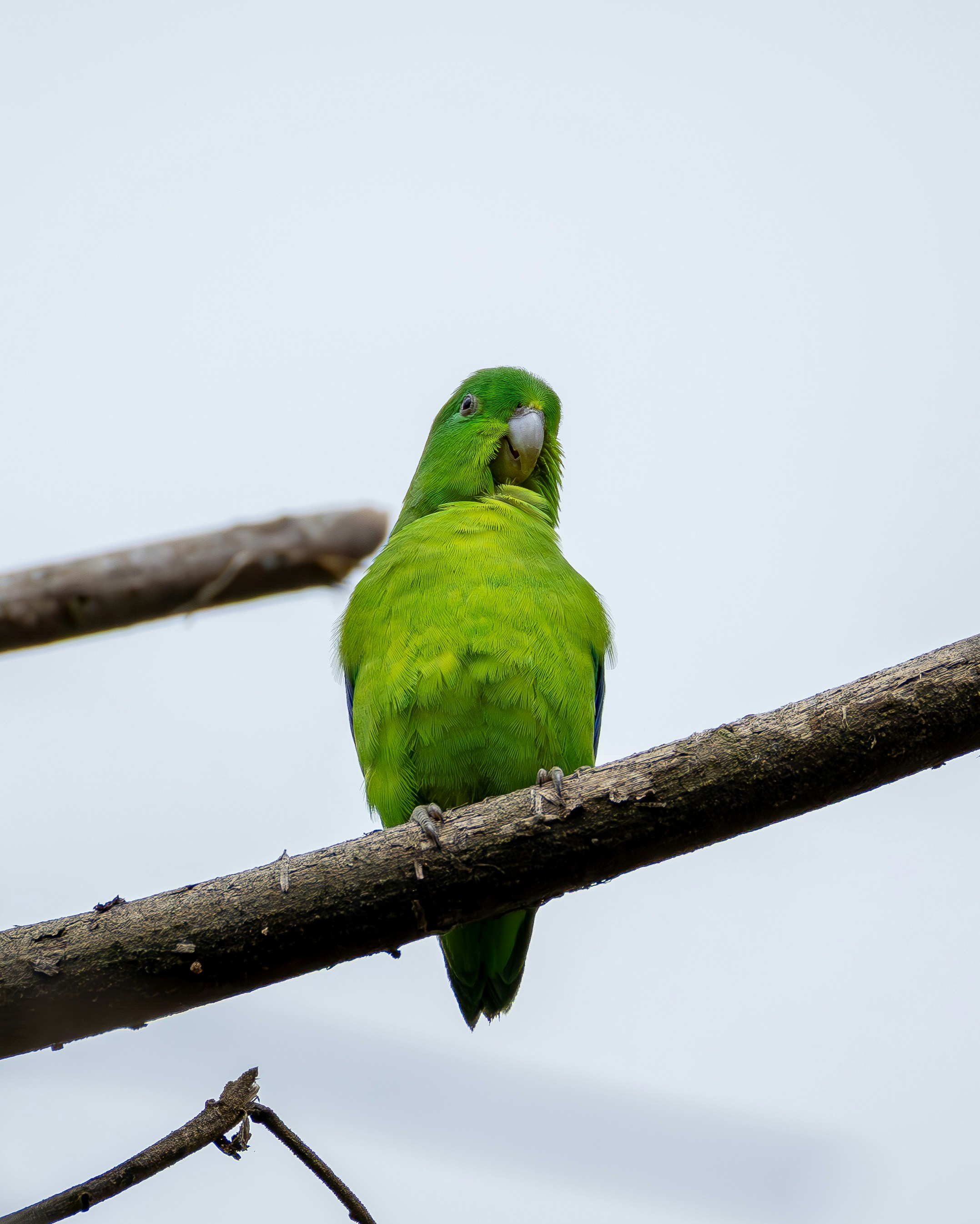 Photo by matheuskprot