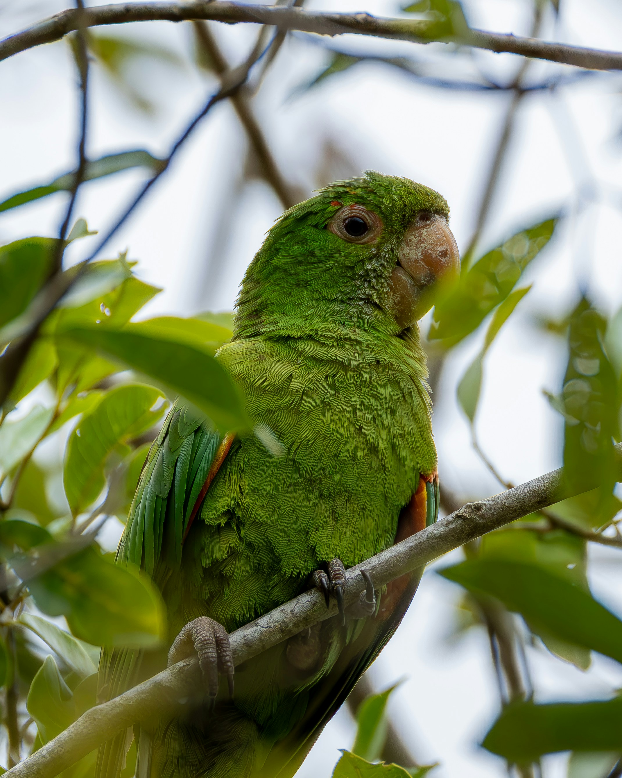 Photo by matheuskprot