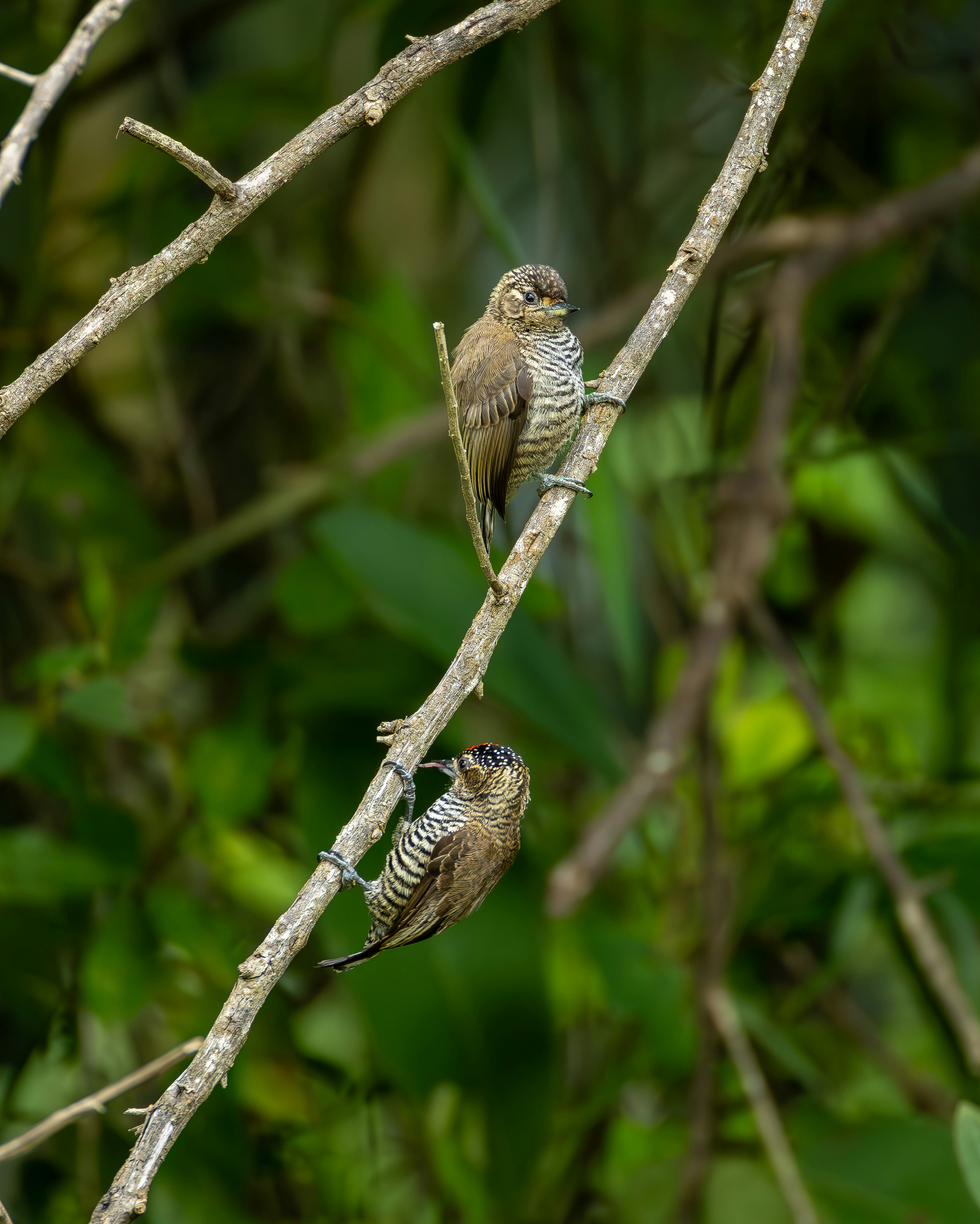 Photo by matheuskprot